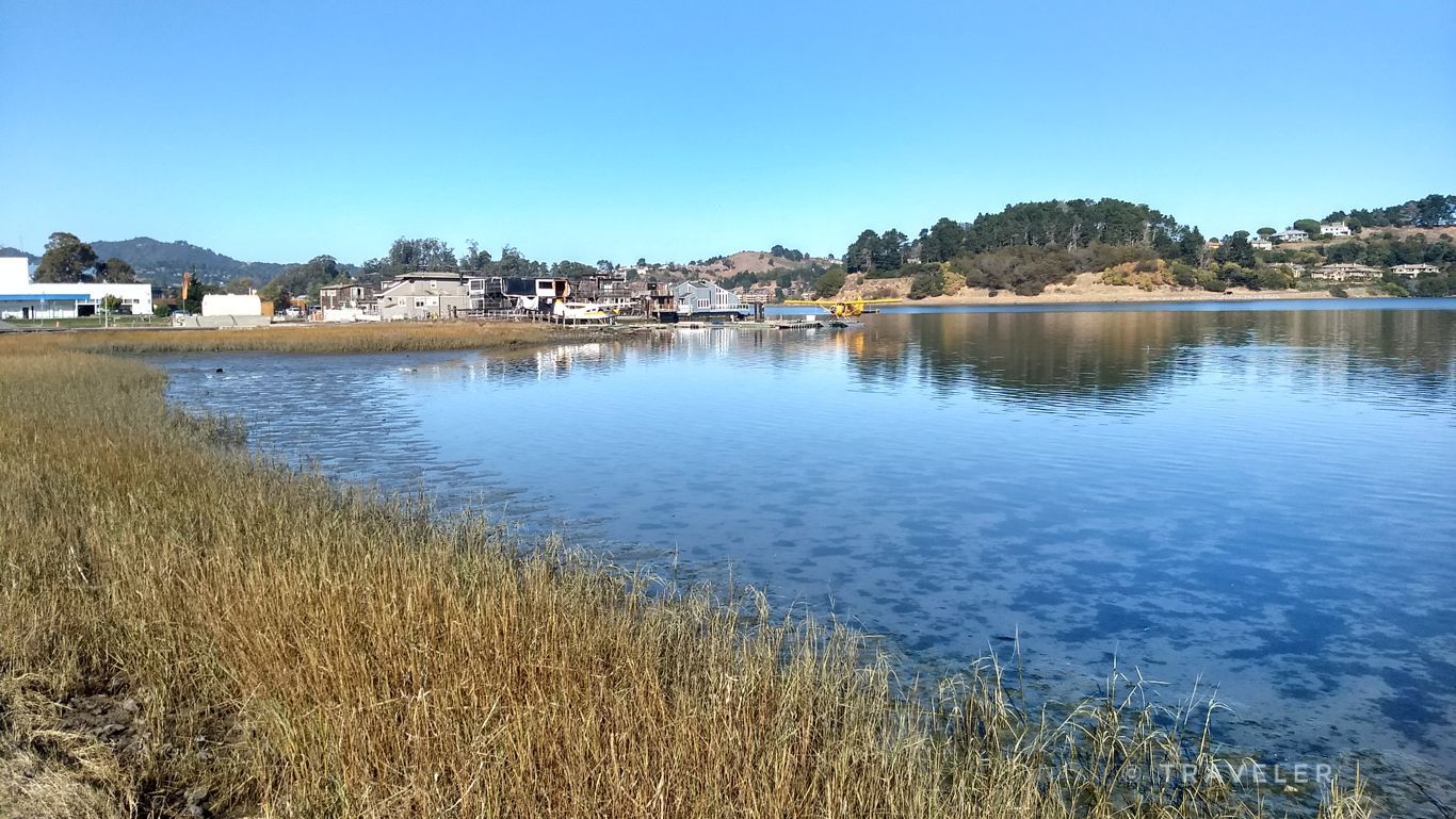 Clear blue water with marsh grass in foreground, distant buildings, sunny day. - Sausalito Houseboats – Sausalito — Mill Valley Path loop from Mill Valley
