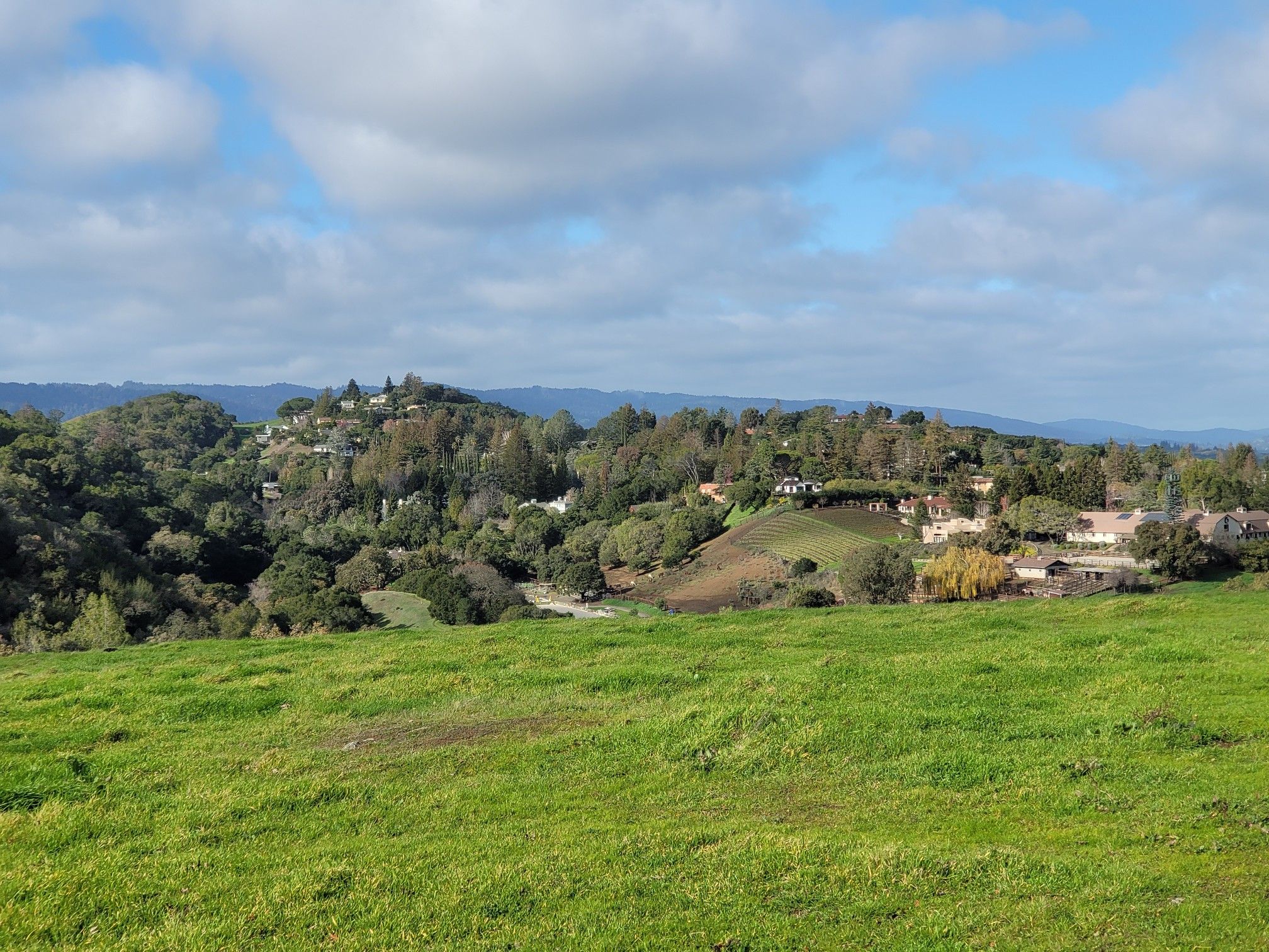 Bright green rolling hills with distant houses and trees under a cloudy sky. - Broken House Path, Deer Creek Trail, and Los Altos Loop