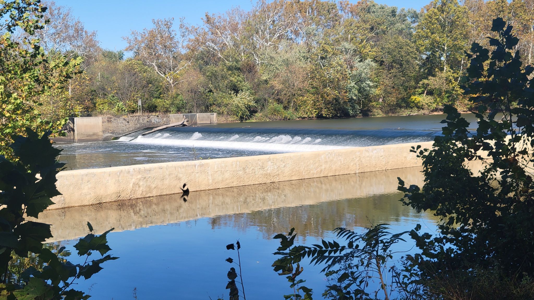 River with a low dam creating a waterfall, surrounded by autumn trees. - Schuylkill River Trail – Perkiomen Trail loop from Oaks