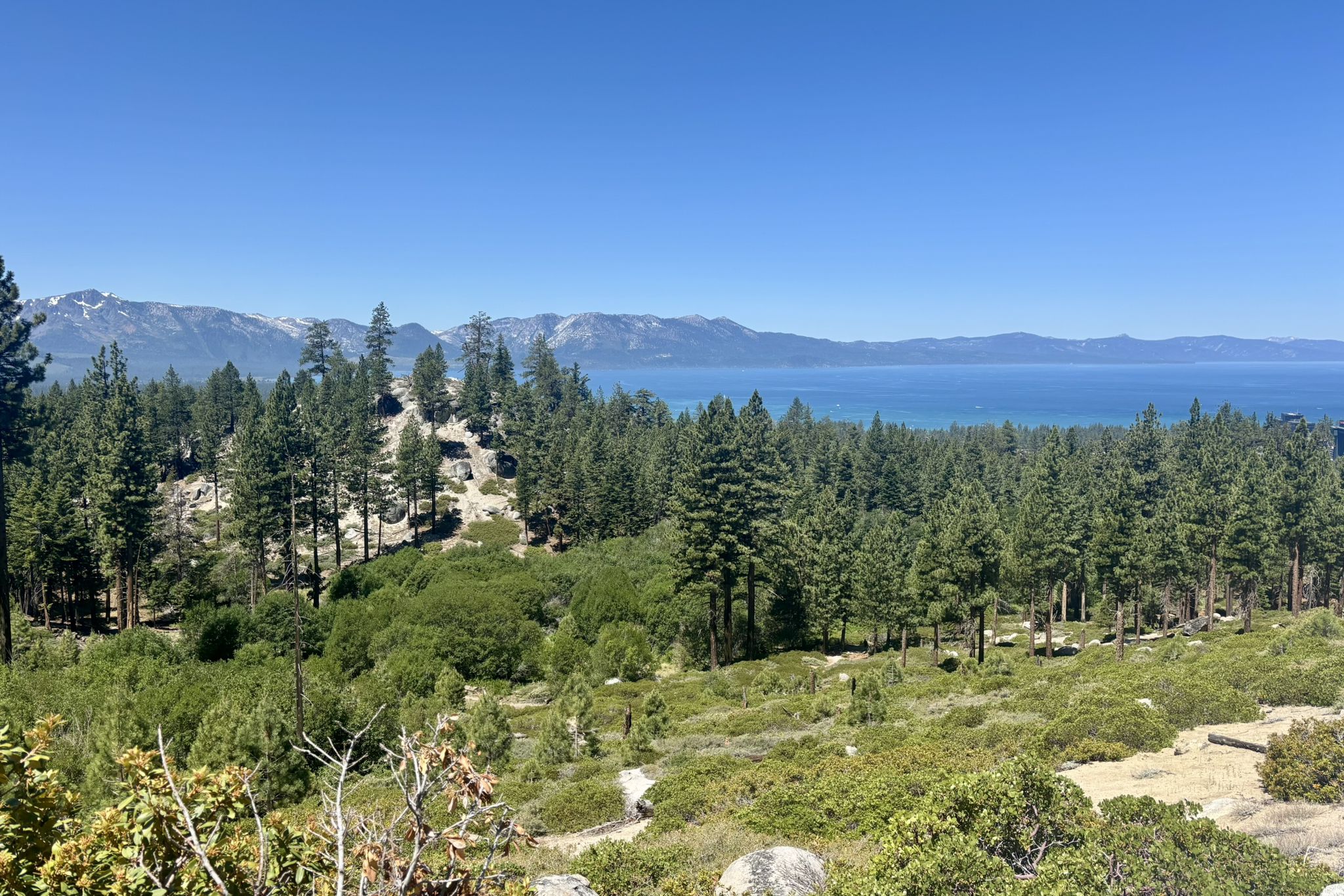 Panoramic view of a dense forest, a large blue lake, and distant mountains. - Barn Trail to Cal Neva Loop