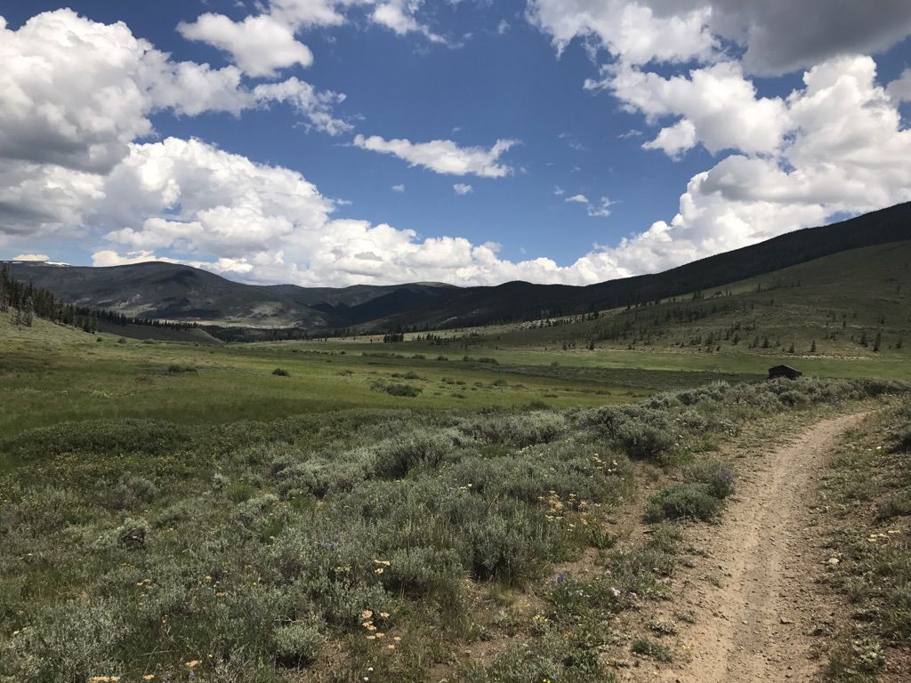 A dirt trail curves through a sunny, expansive green meadow with distant mountains. - Soda Ridge and Soda Creek Loop