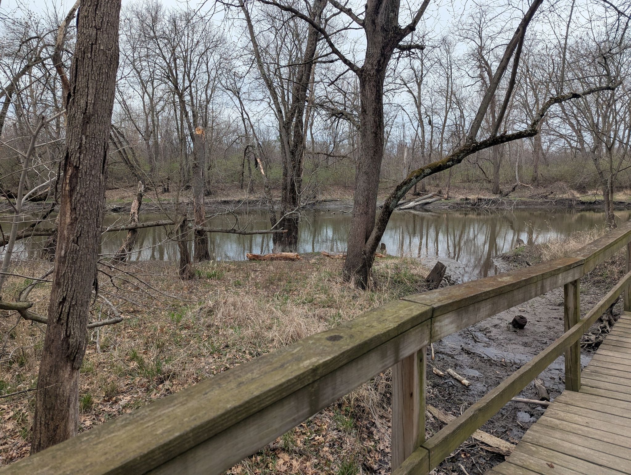 Wooden boardwalk next to a murky river surrounded by bare trees on a cloudy day. - Edward L. Ryerson Nature Preserve loop