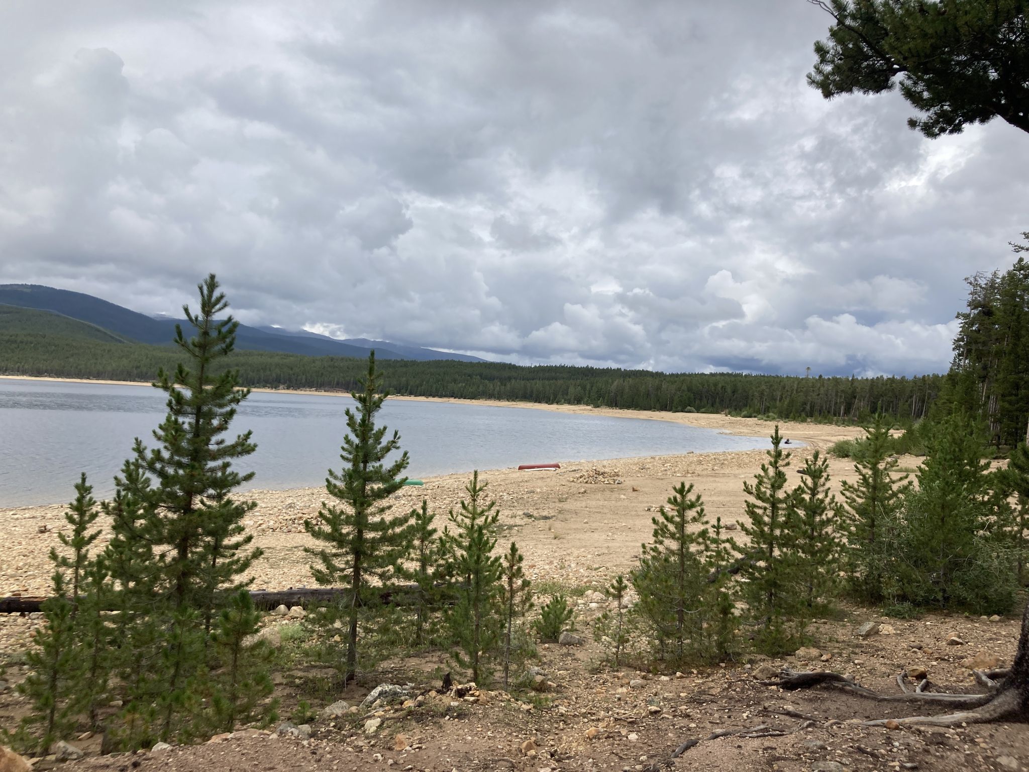 Overcast view of a large lake with sandy shores, pine trees, and distant mountains. - Turquoise Lake Trail