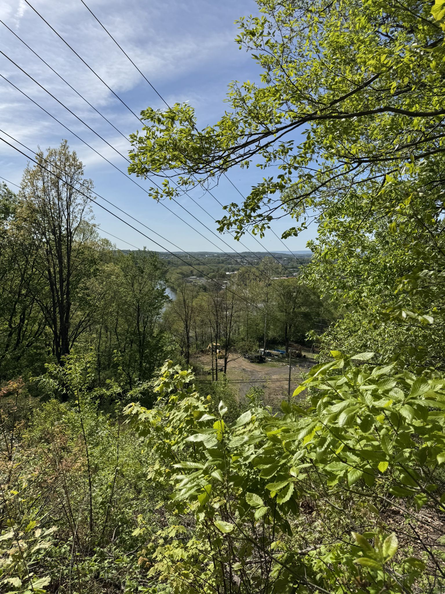Distant town and river seen through green trees and power lines. - View of the river – Schuylkill River Trail loop from Gibraltar