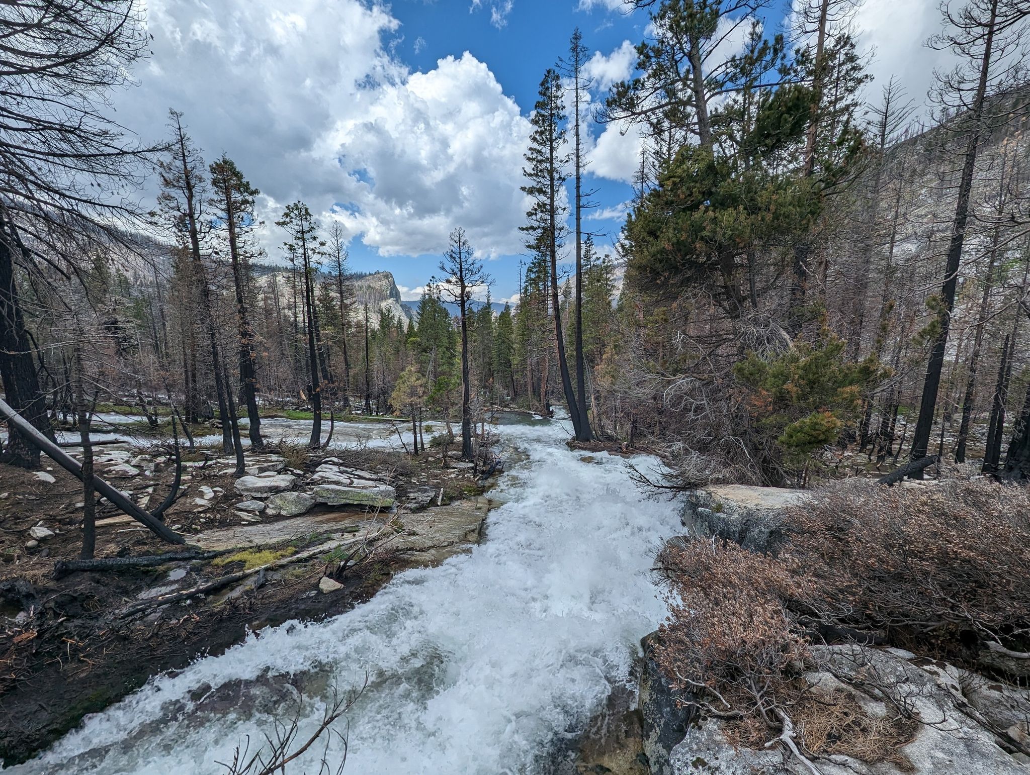 Rushing river flows through a forest with burnt trees under a cloudy sky. - Pyramid Trail