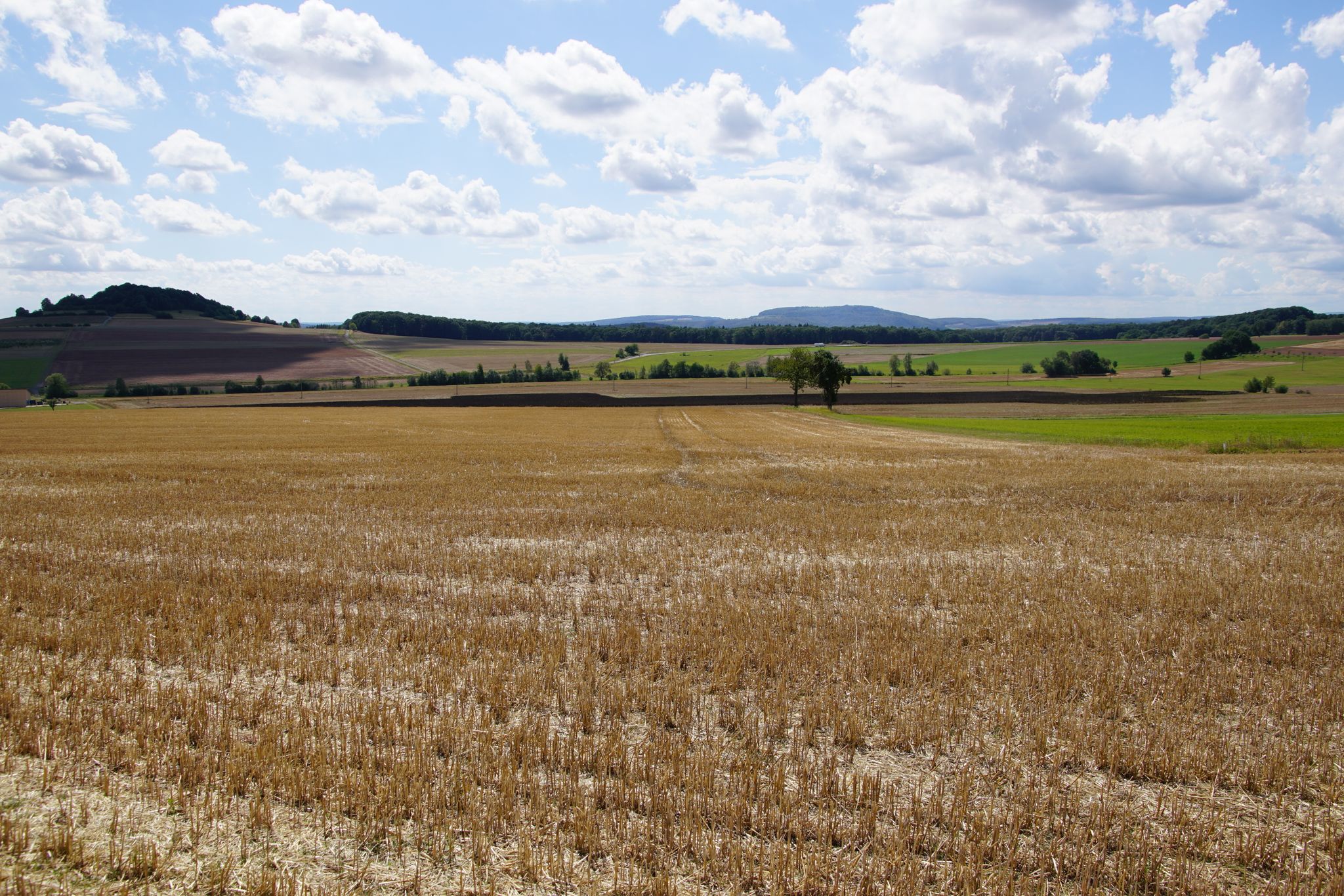 Blick zurück auf Büchel- und Sodenberg