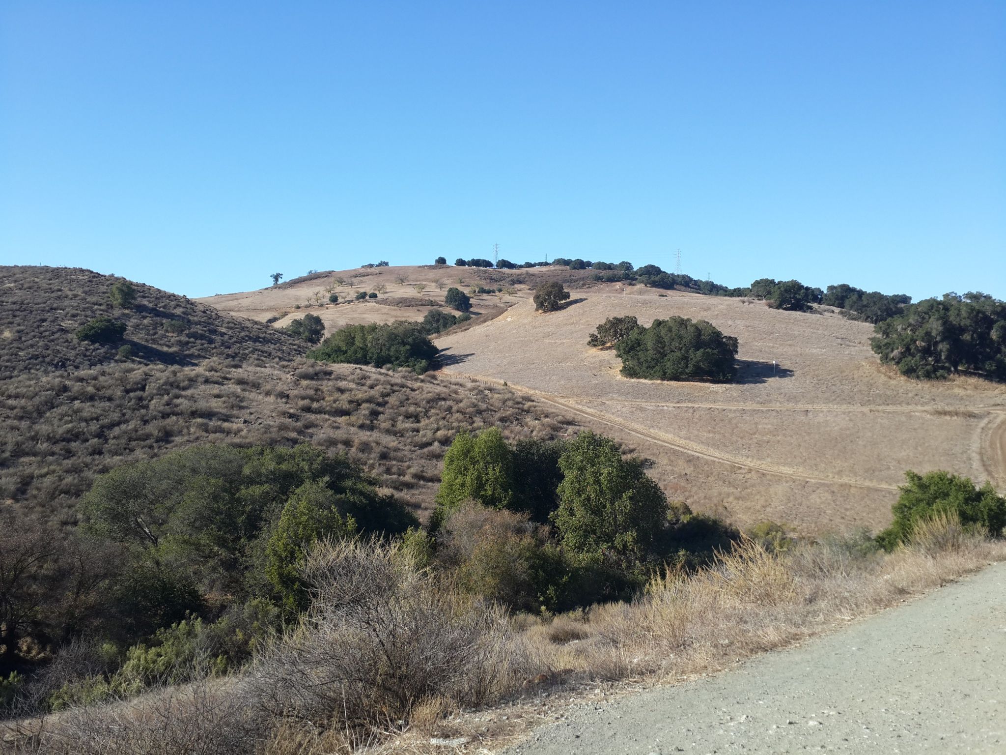 Rolling hills with dry grass and scattered trees under a clear blue sky. - Mine Trail and Pueblo Loop