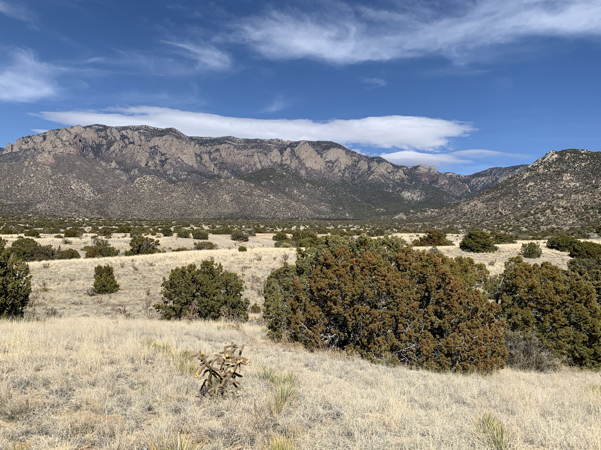 Sunny desert landscape with scrub brush and a distant mountain range under blue sky. - Michael Emery and Foothills Trail Loop