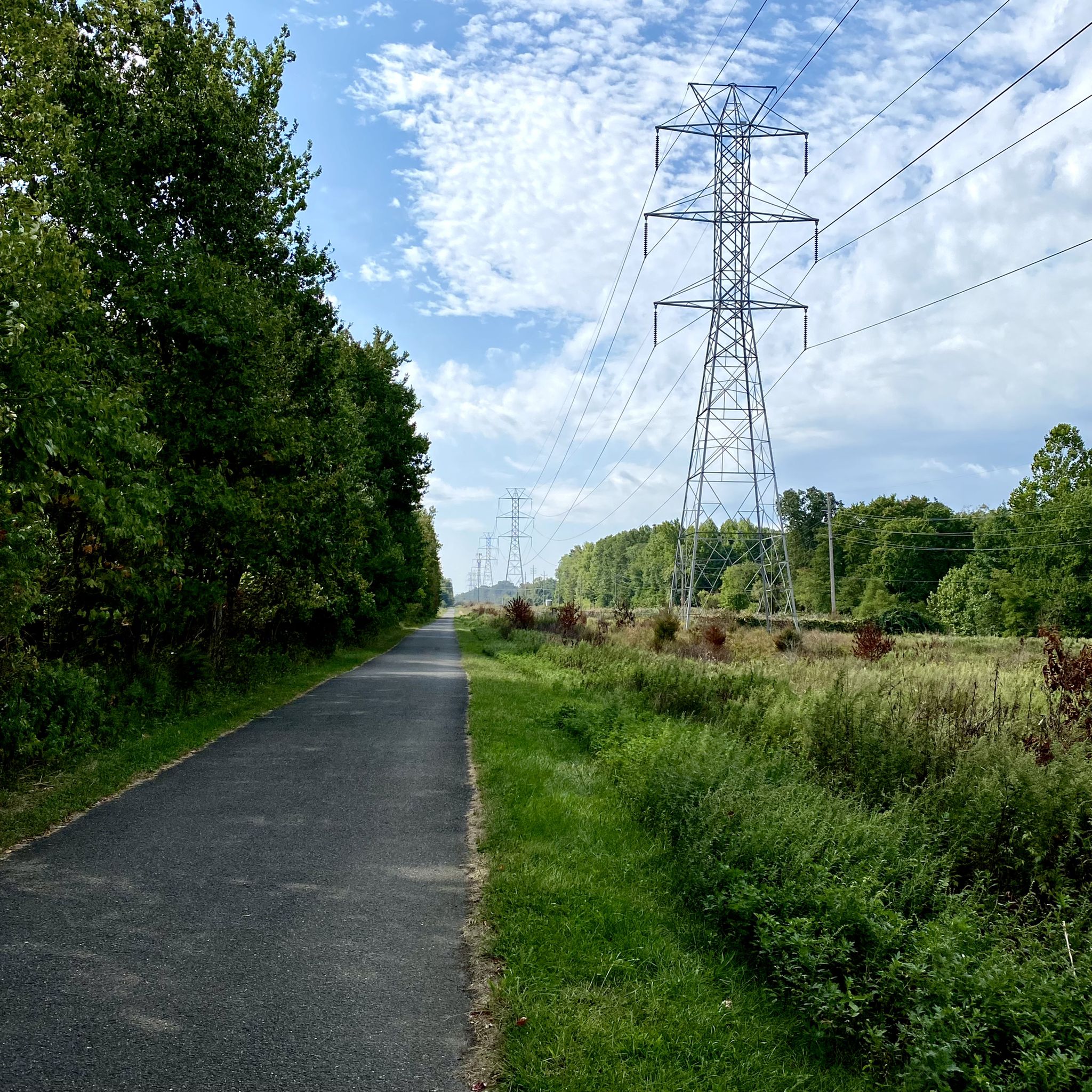 Paved path alongside power lines and green trees under a bright, cloudy sky. - Henry Hudson Trail