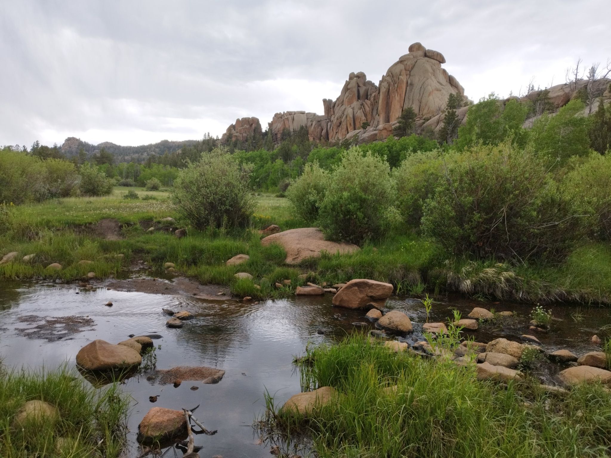 Stream with rocks, green bushes, and large rock formations under a cloudy sky. - Reynolds Hill Loop trail run