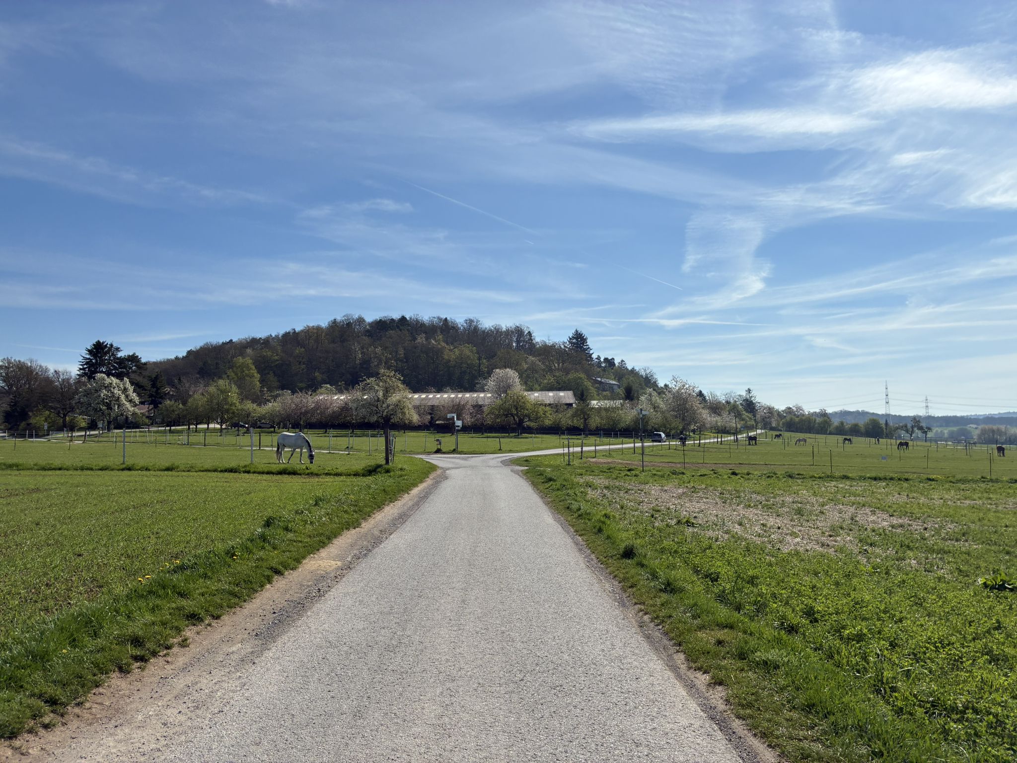 Richtung Längenbühl