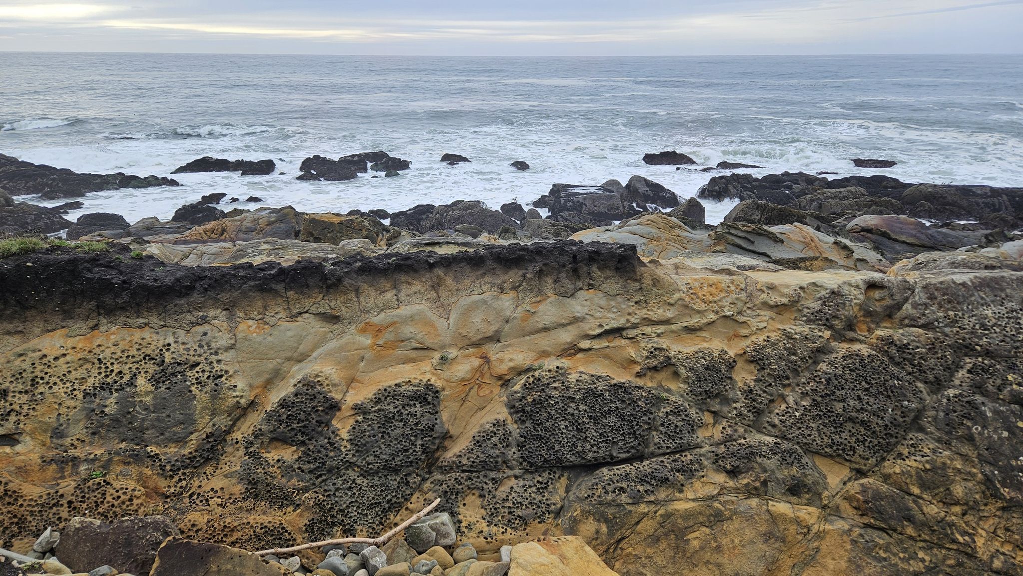 Close-up of textured, layered coastal rocks with barnacles and ocean waves. - Walk On Beach loop from Del Mar Landing State Marine Reserve