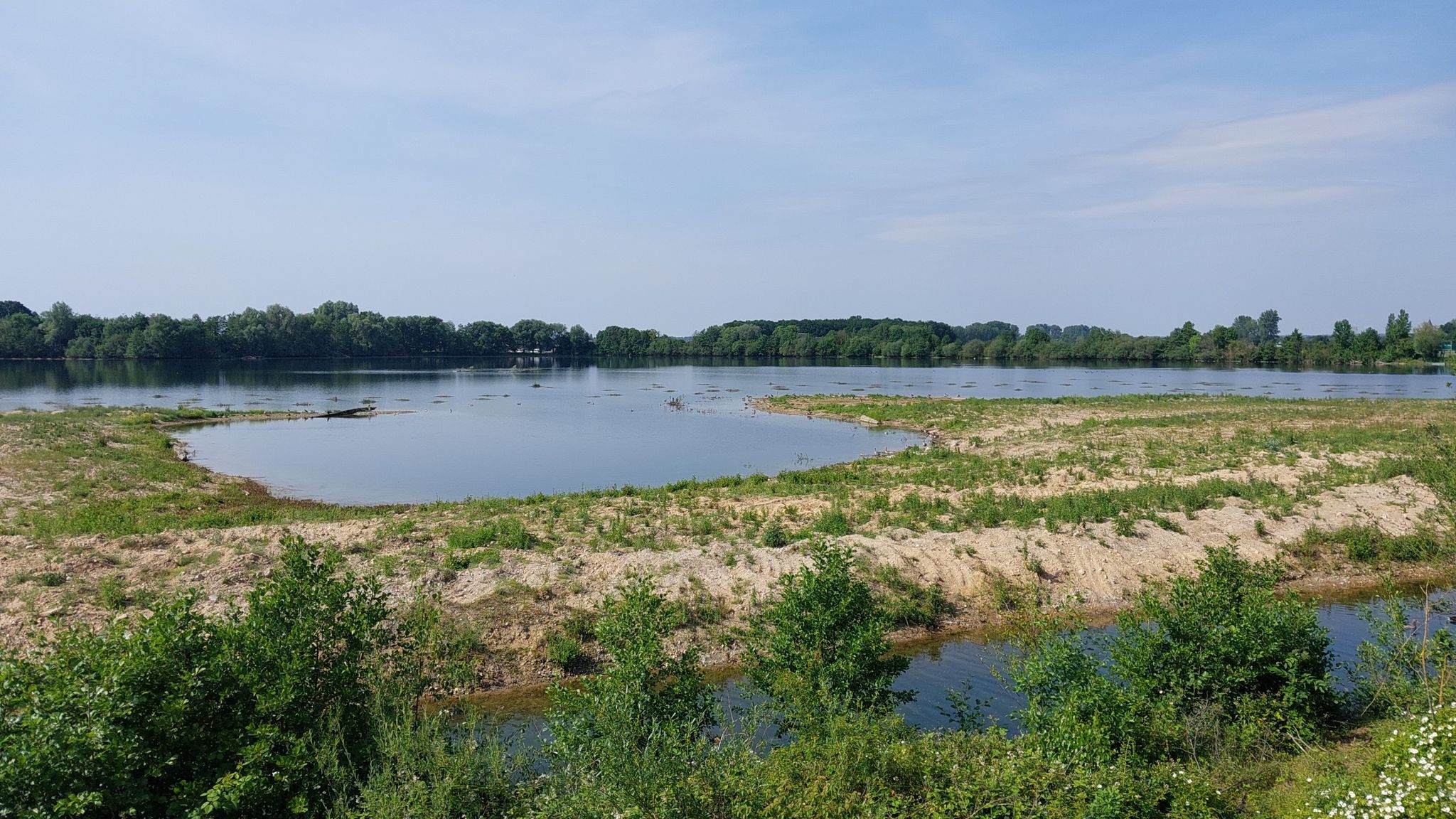 Blick vom Aussichtsturm in das Naturschutzgebiet