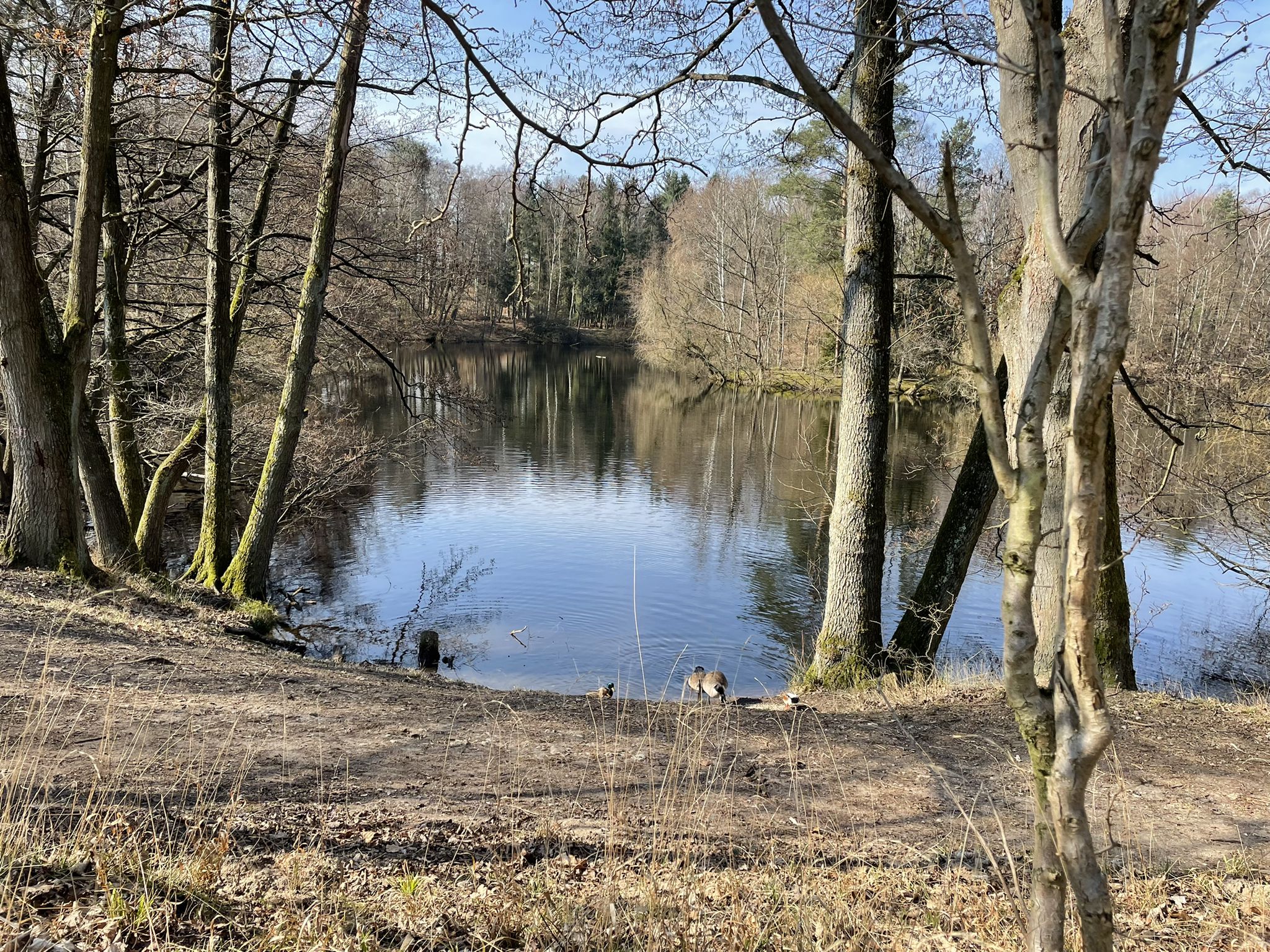 Kesselbruchweiher