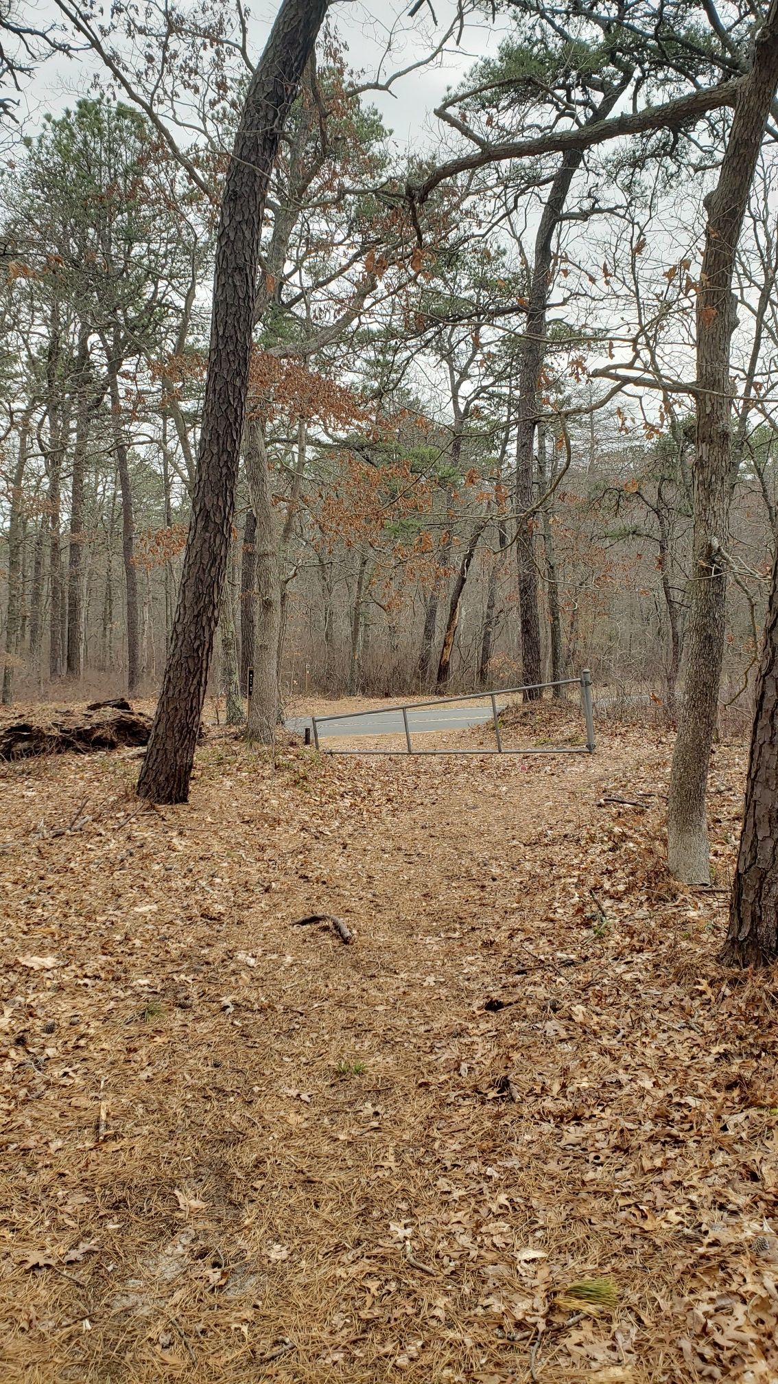 Orange trail crosses over Mill Road.