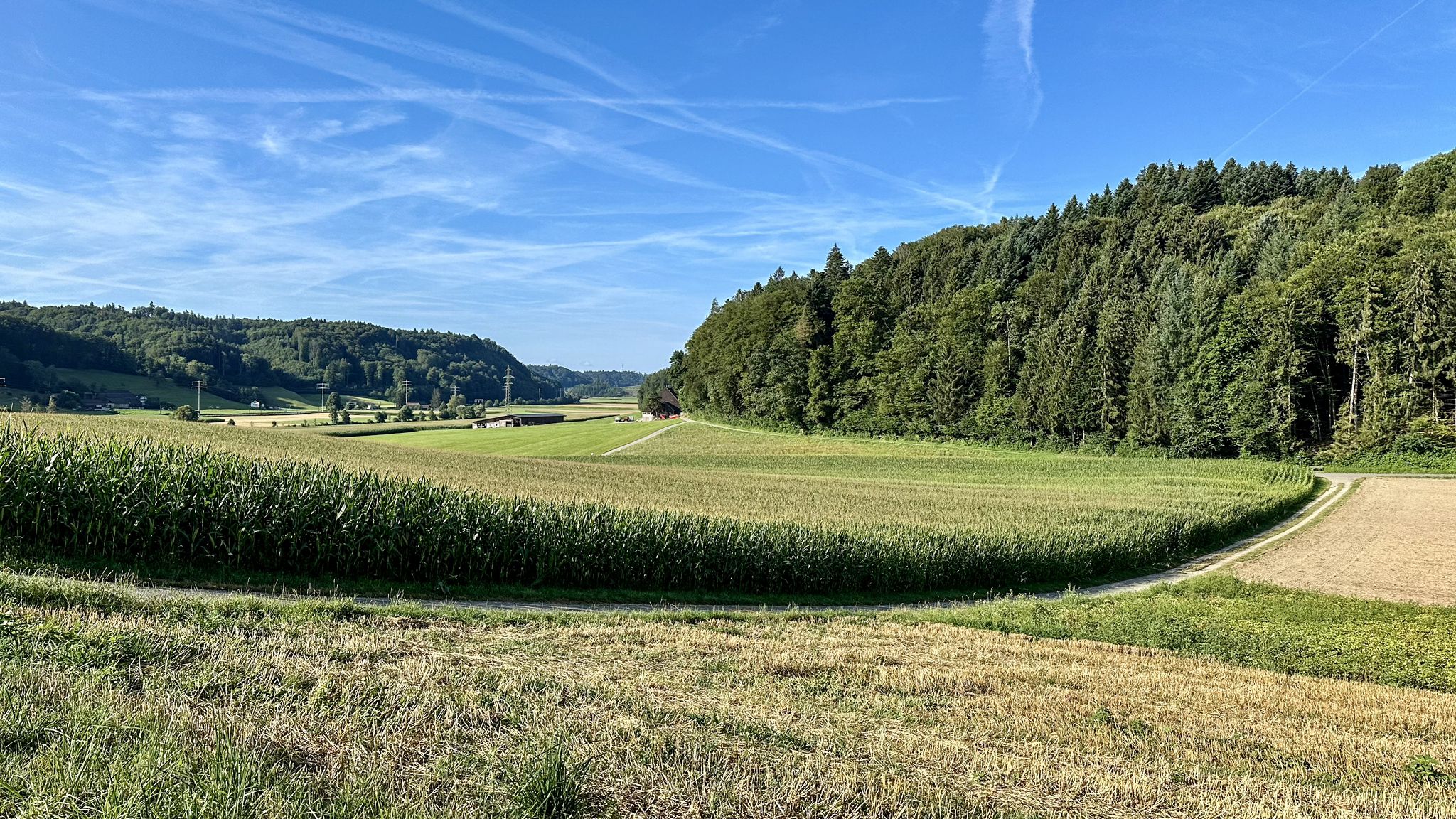 ...weiter Richtung Wynigen...
