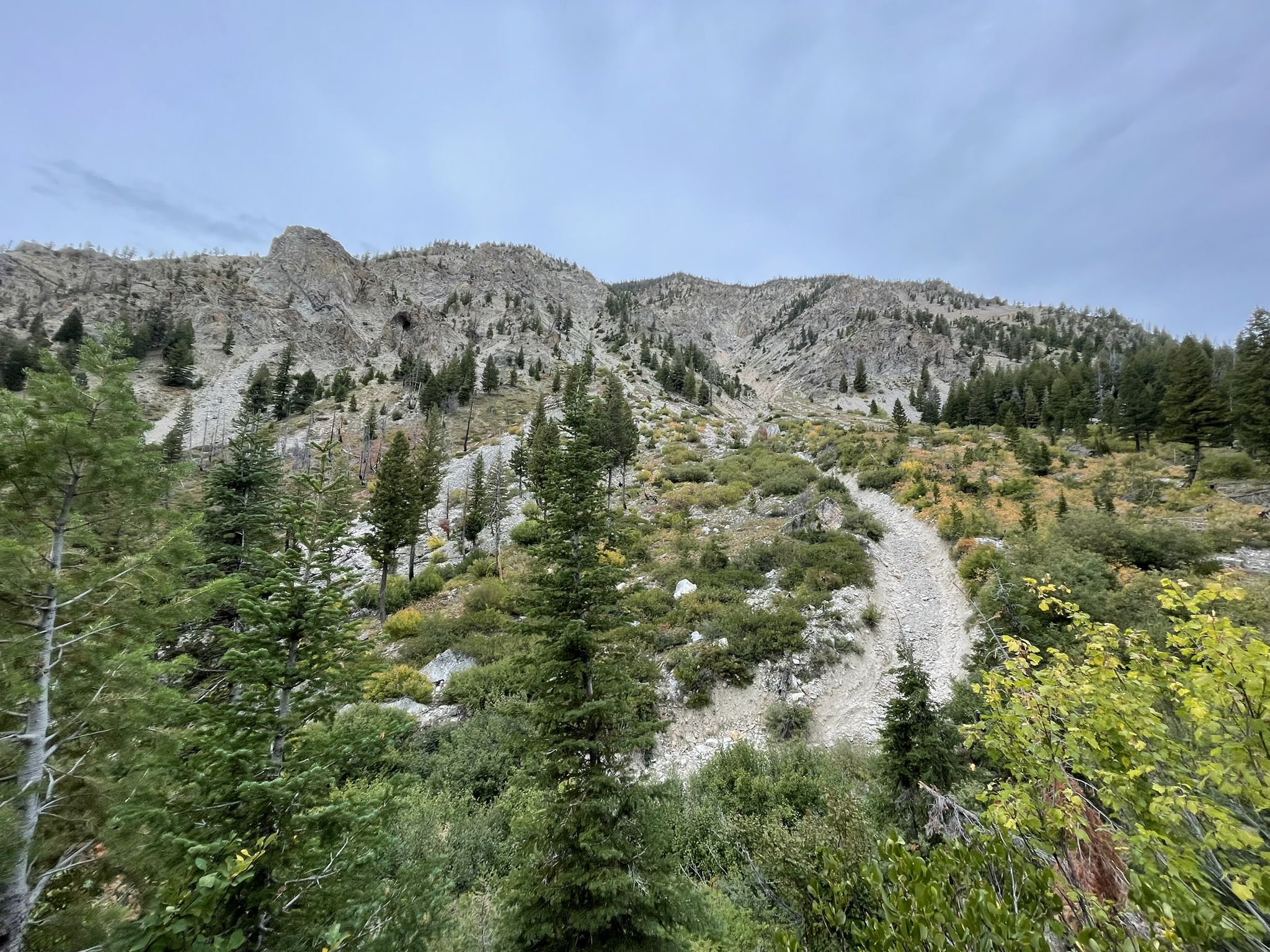 Rocky mountain slope with scattered trees and a winding path under an overcast sky. - Grandjean Sawtooth Lake Loop