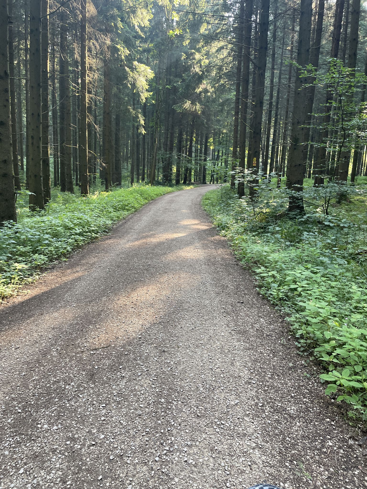 Waldseeweg Wemding