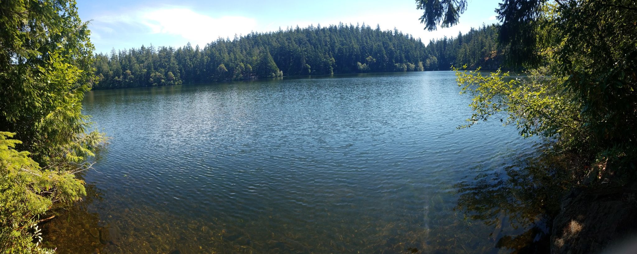 Panoramic view of a wide lake surrounded by green trees under blue sky. - Heart Lake – Cranberry Lake loop from Western Washington University - Shannon Point Marine Center