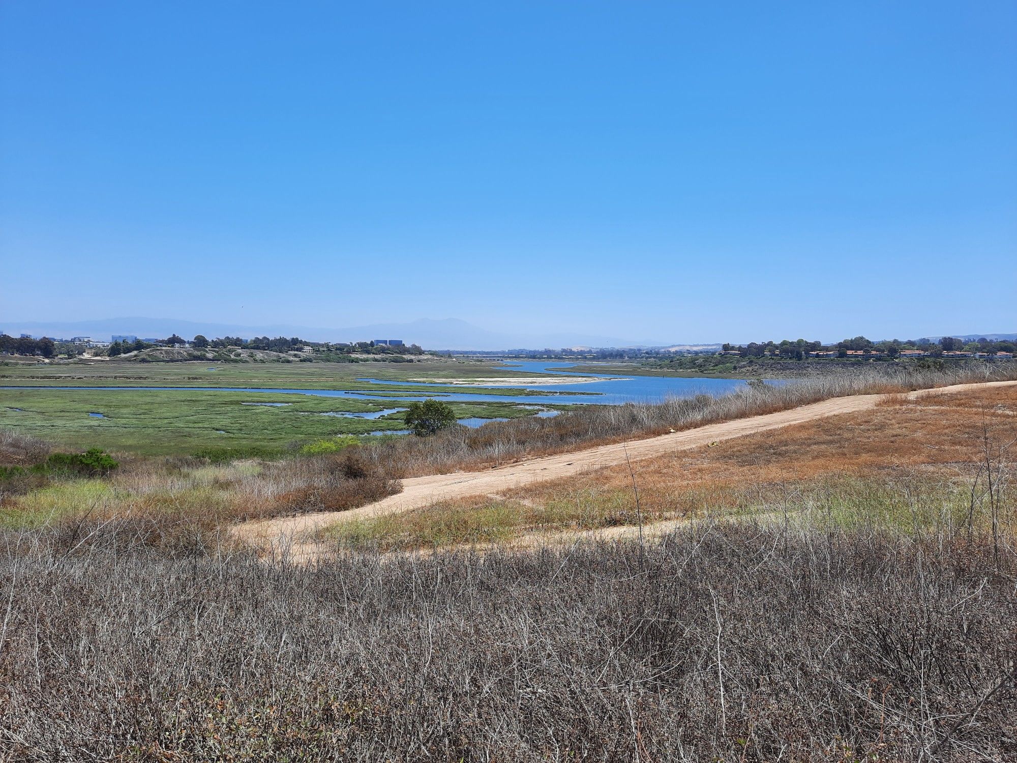 Wide wetland landscape with water, green marsh, and a dirt path under clear sky. - Back Bay Loop Trail