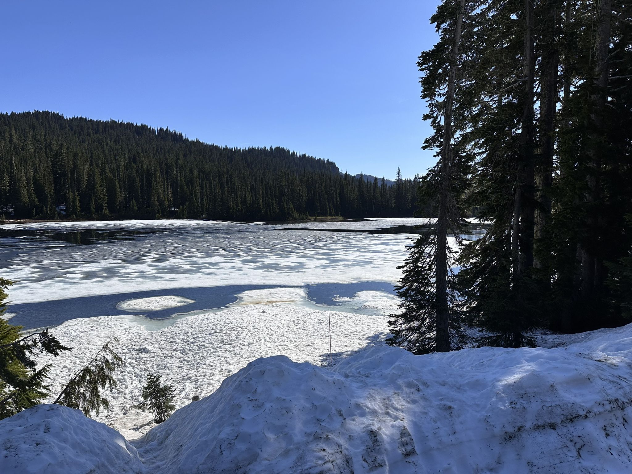 Partially frozen lake with snow-covered foreground and dense forest. - Longmire Historic District – Narada Falls loop from Twin Firs Trailhead