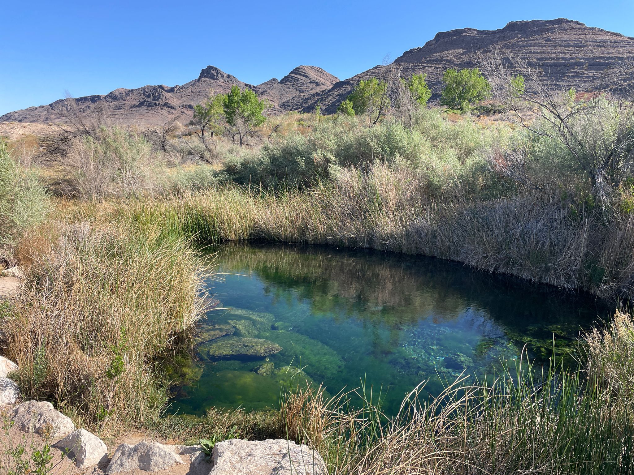 unglaublich: in dieser oeden Landschaft auf so viel Wasser zu stossen