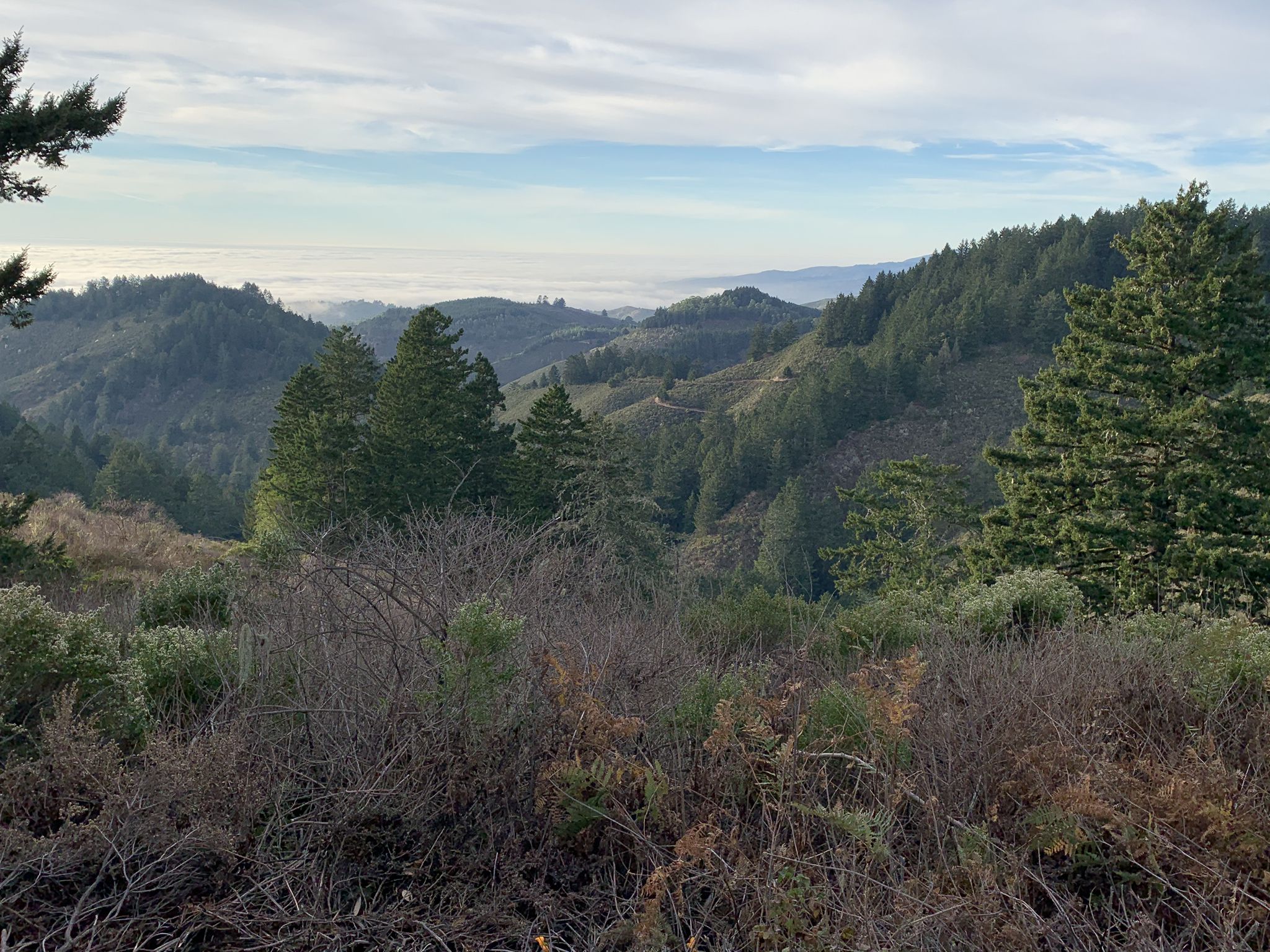 Forested hills under a cloudy sky, with distant fog over valleys. - Whittemore Gulch and Purisima Creek Loop Trail