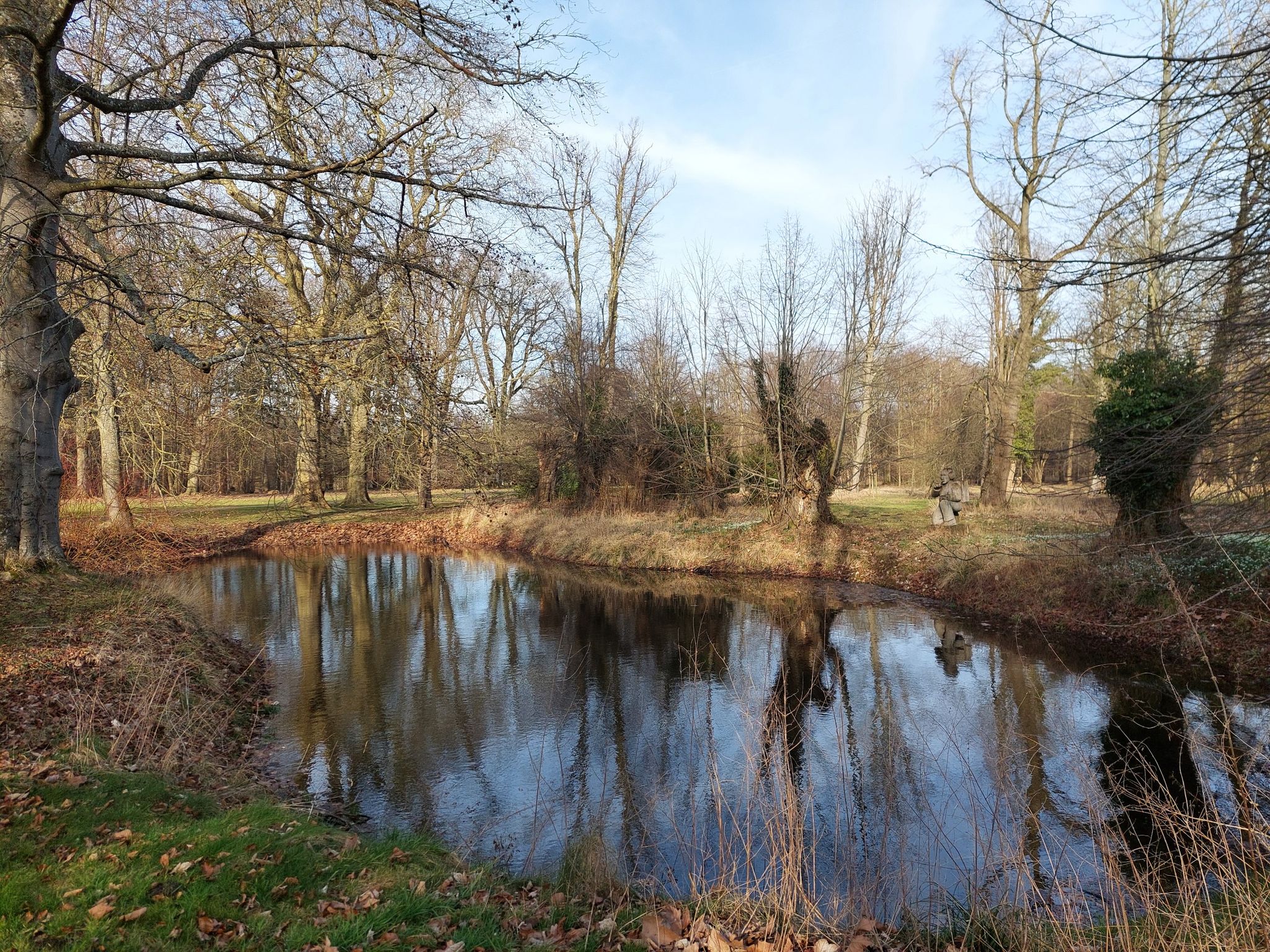 Der Nierenteich