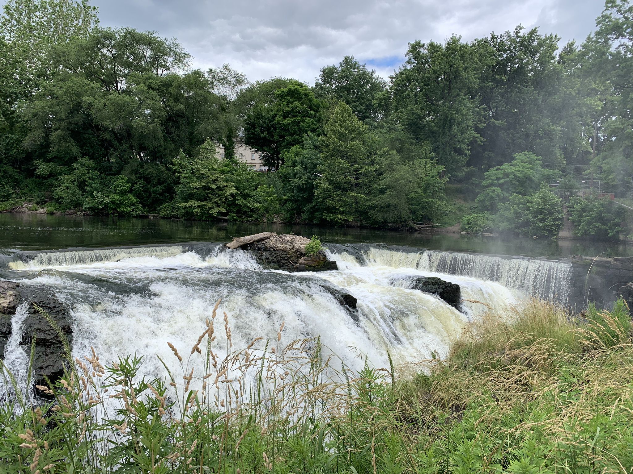 Waterfall cascades over dark rocks, surrounded by green trees under an overcast sky. - Paterson Falls Park Trails