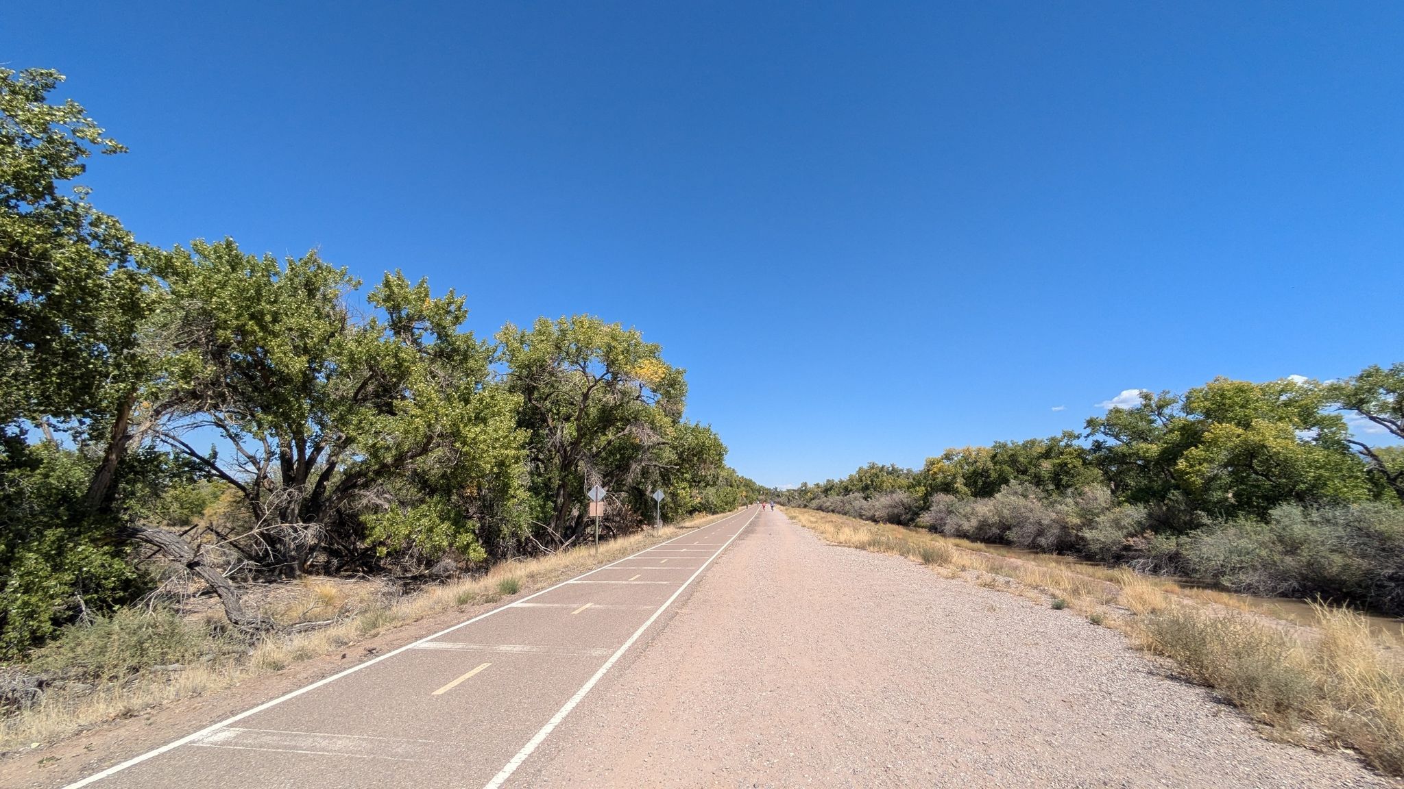 A long, straight paved and dirt path under a clear blue sky. - Paseo del Bosque and Aldo Leopold Trail Loop