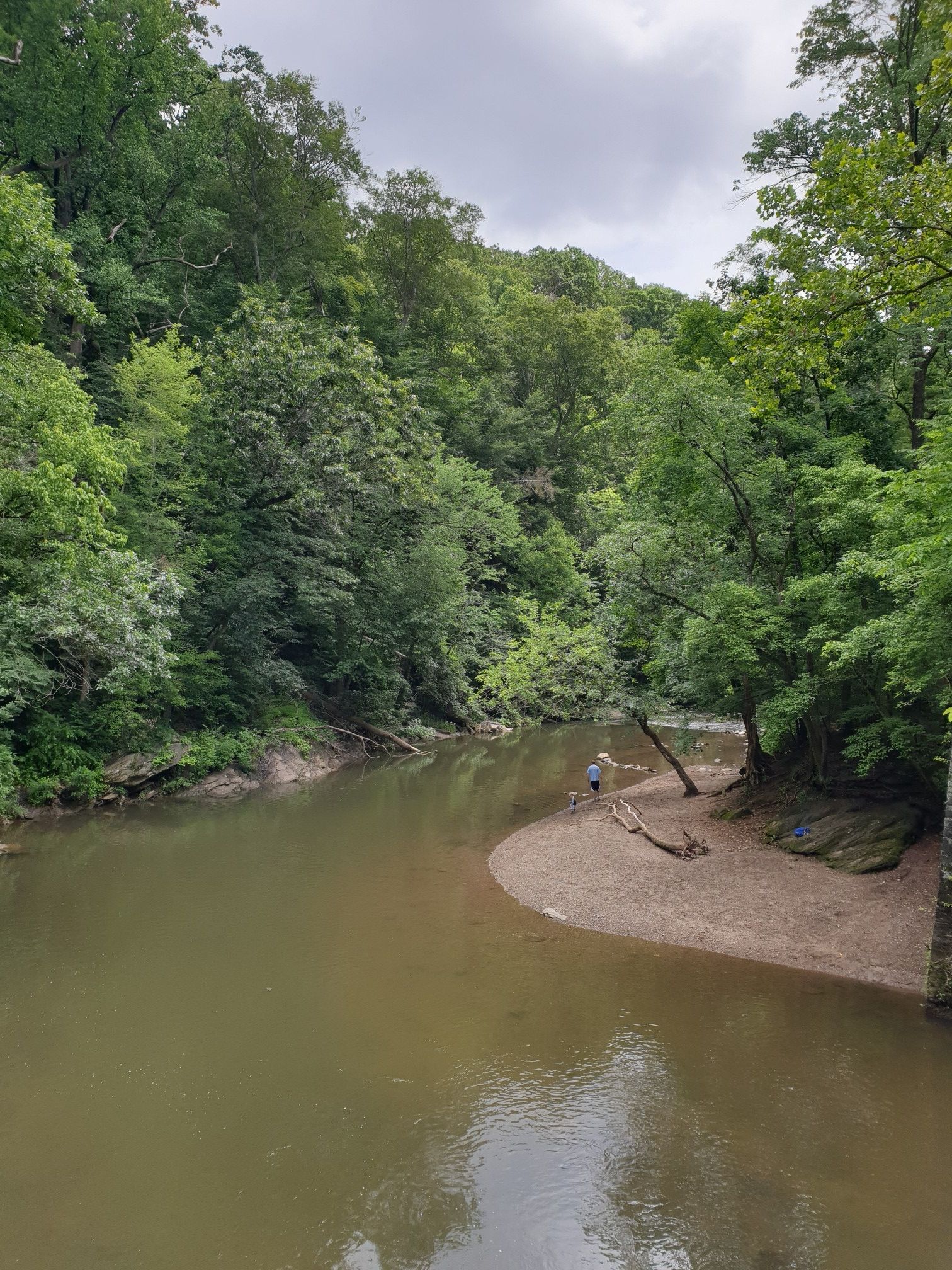A wide river flows past a sandy bank with two people, surrounded by green forest. - Forbidden Drive and Orange Trail Loop
