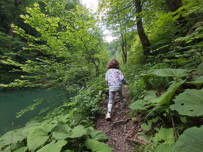 Gorski kotar (kanjon Kamačnik) | Wanderung | Komoot