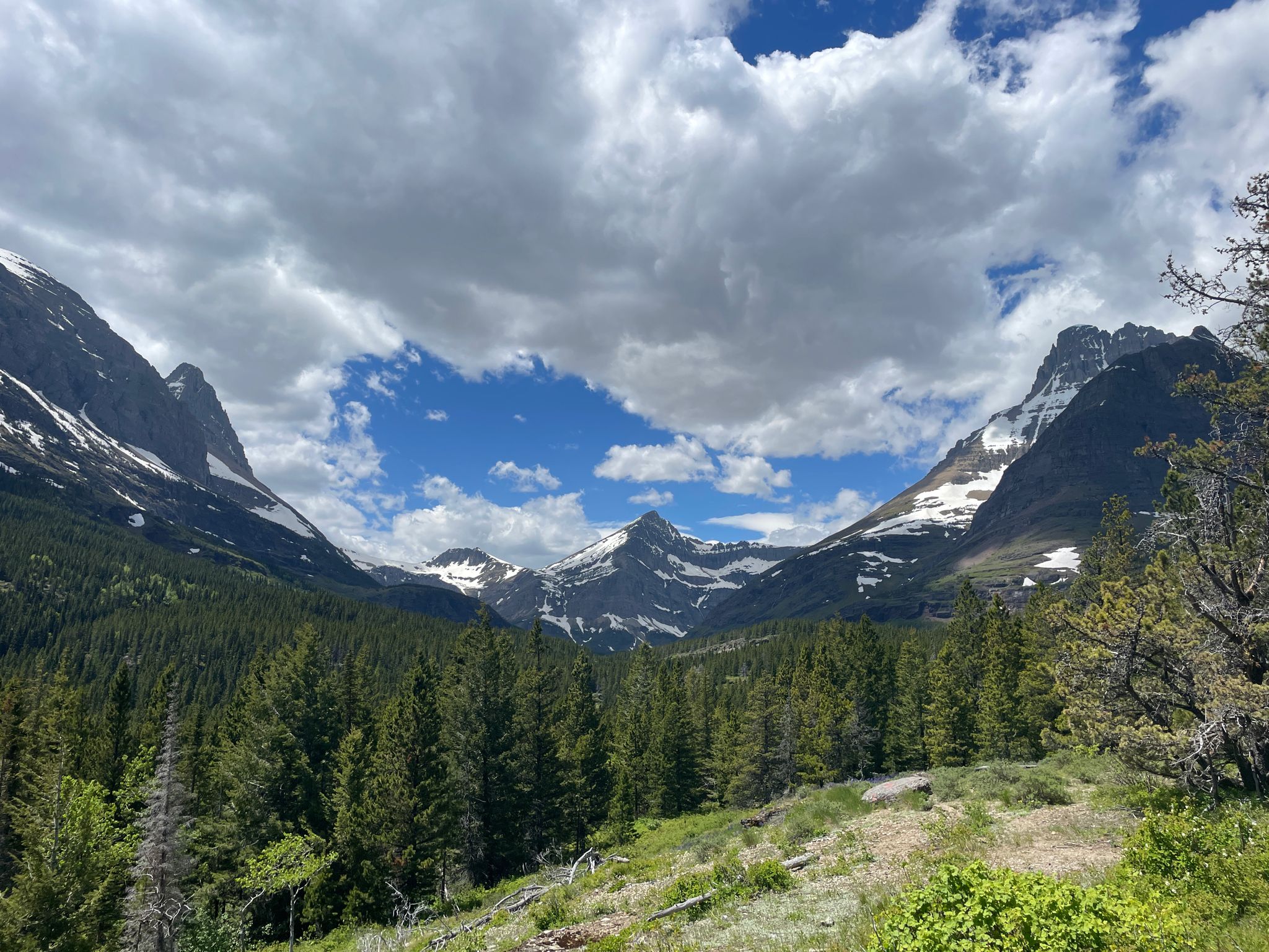 Snow-capped mountains, green forest, and dramatic clouds in a valley. - Redrock Lake loop from Many Glacier Lodge