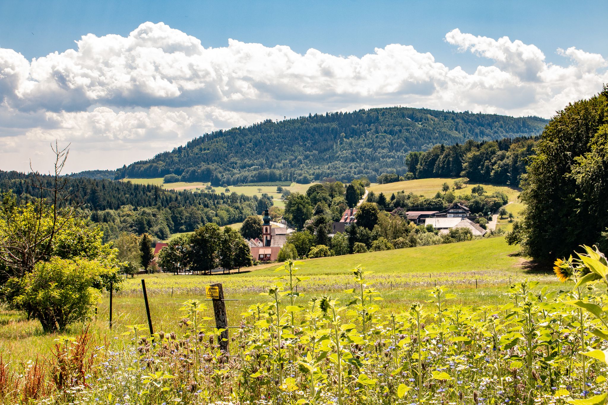 Blick über Moosbronn