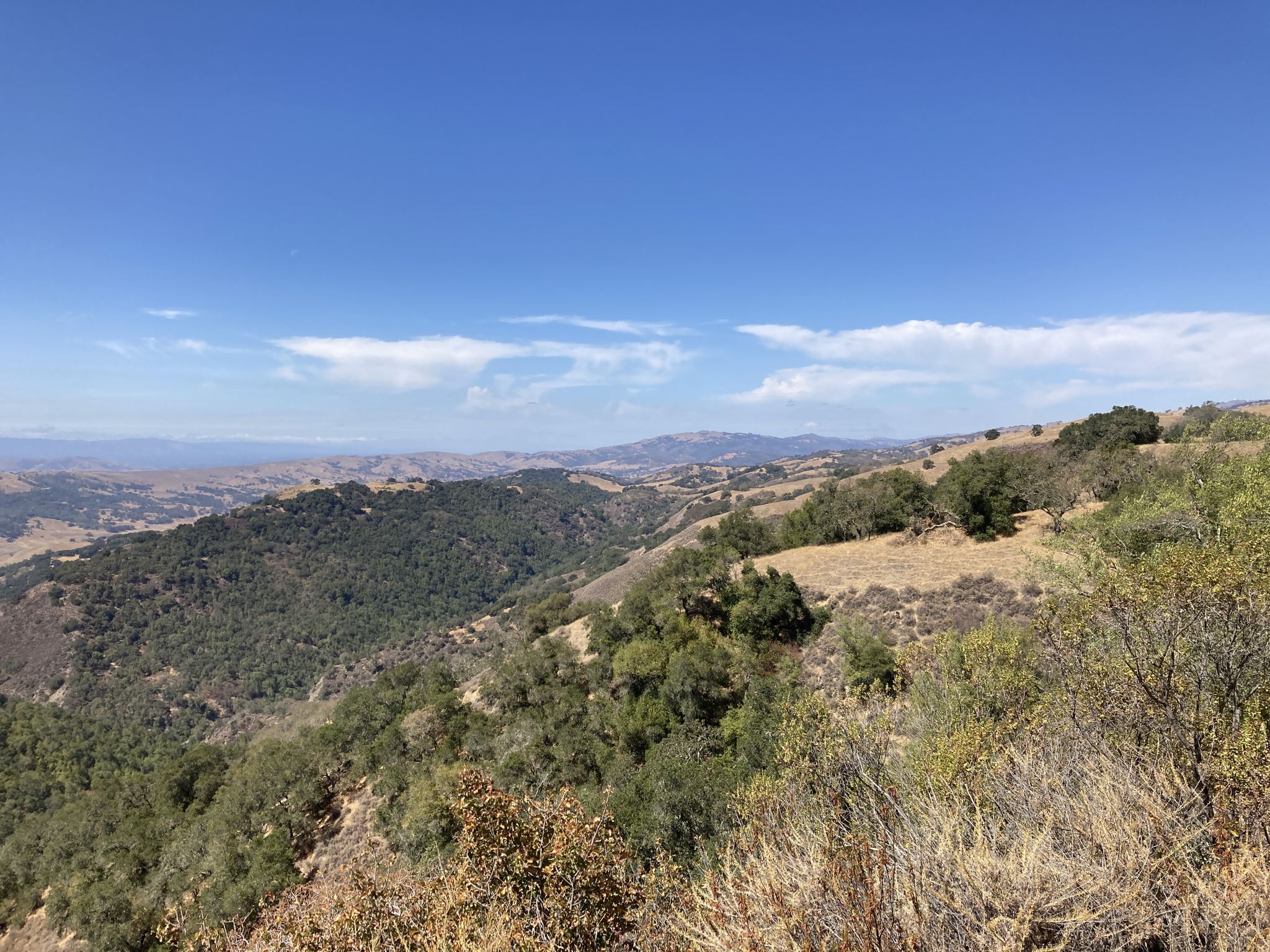 Expansive view of green and golden rolling hills under a bright blue sky. - Coe Ranch Headquarters – China Hole Trail loop from Morgan Hill