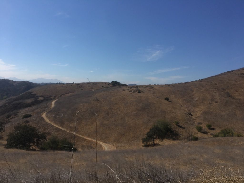 Expansive dry brown hills with a winding dirt path under a clear blue sky. - Cheeseboro Canyon Trail – Cheeseboro Canyon Trail loop from Rasmussen Open Space