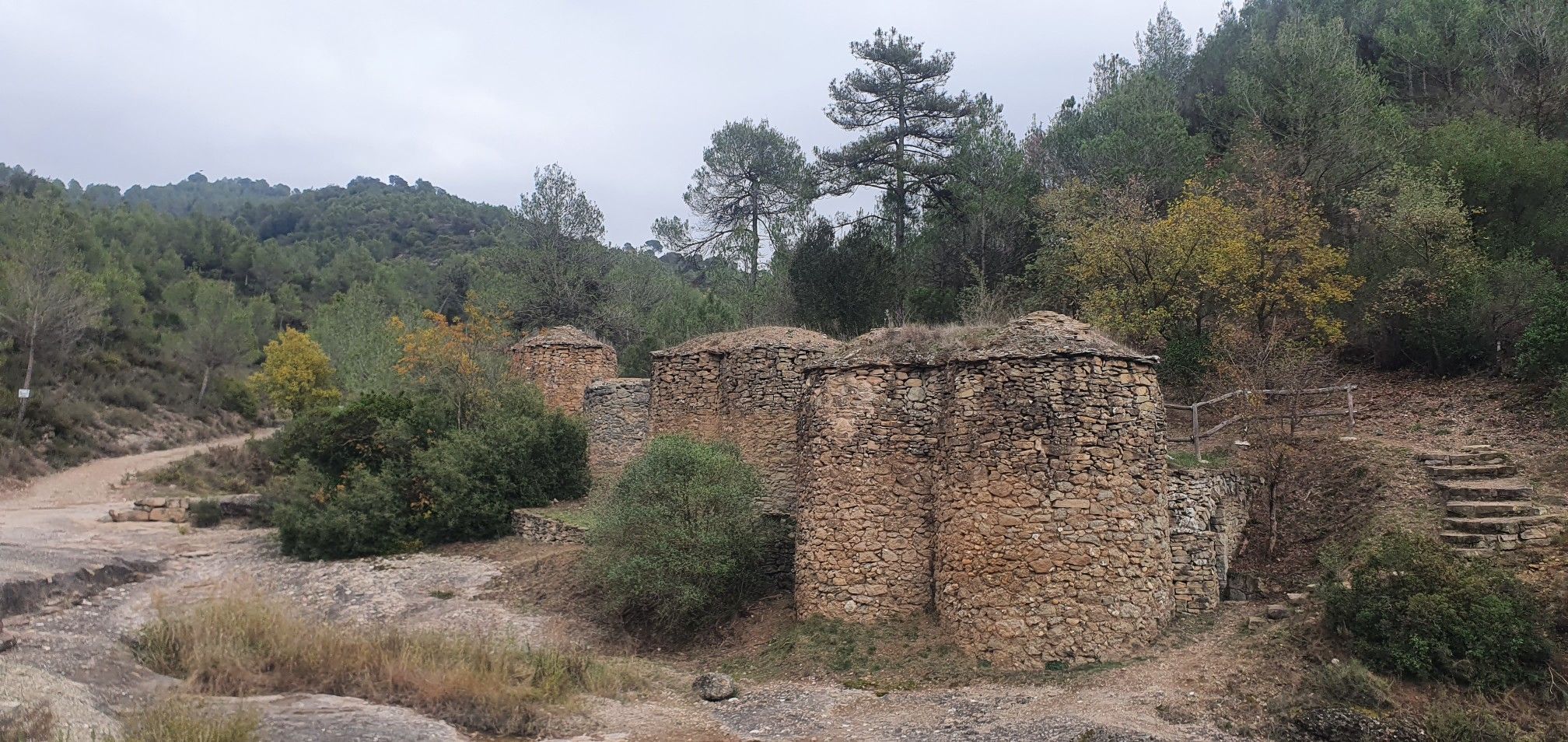  Tinas del Ricardo