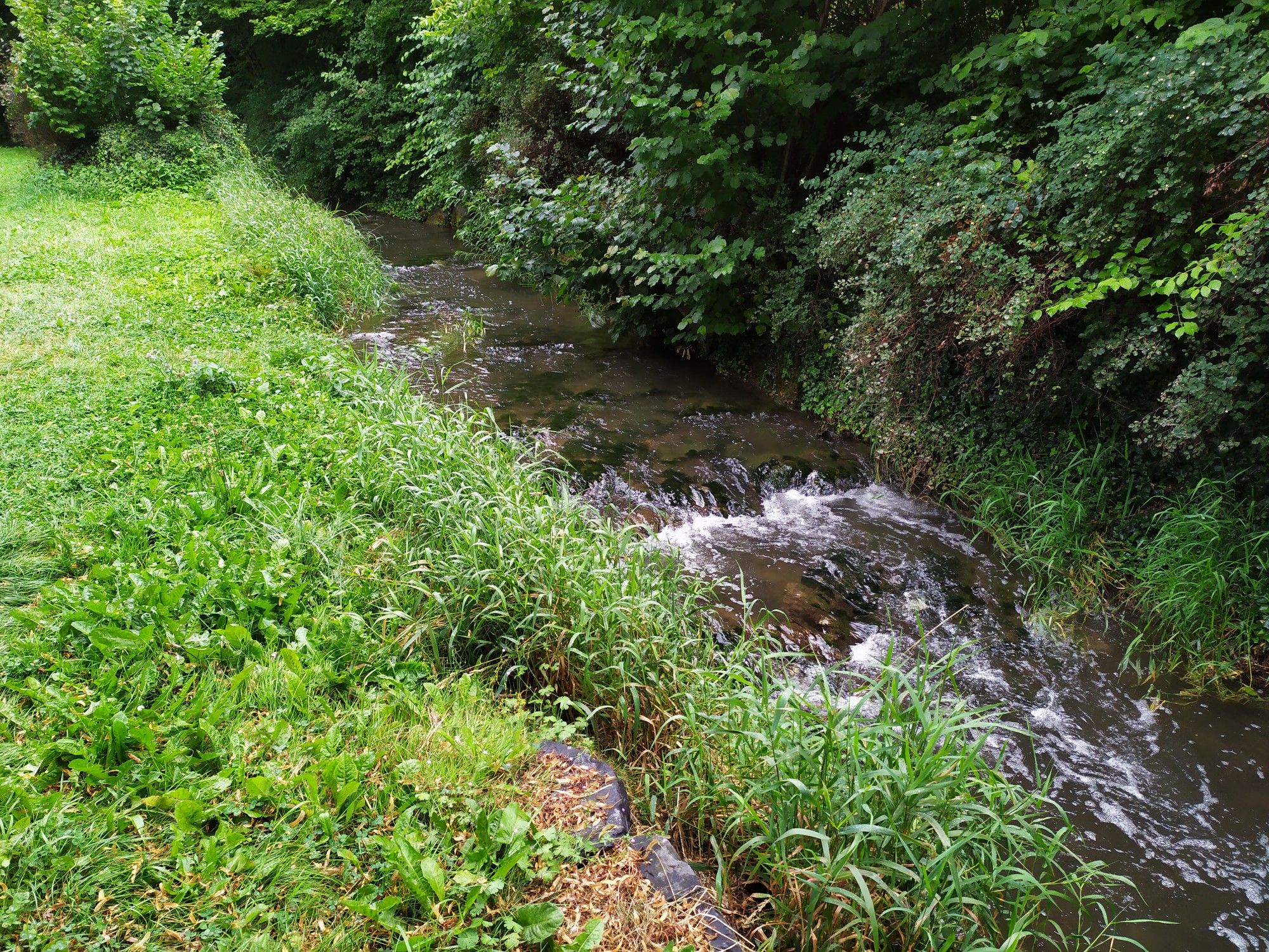 nach dem Regen