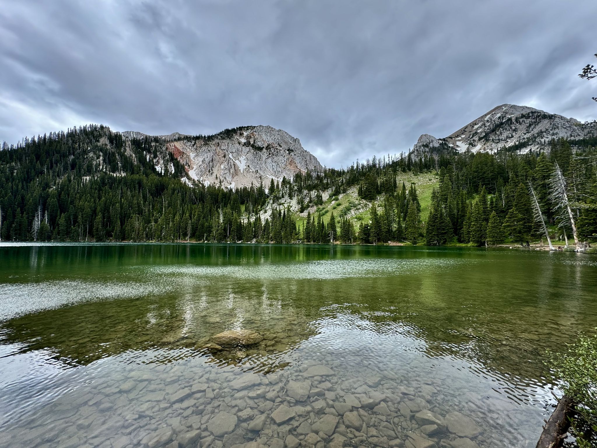 Clear mountain lake with visible rocks, surrounded by forest and rocky peaks. - Fairy Creek Trail