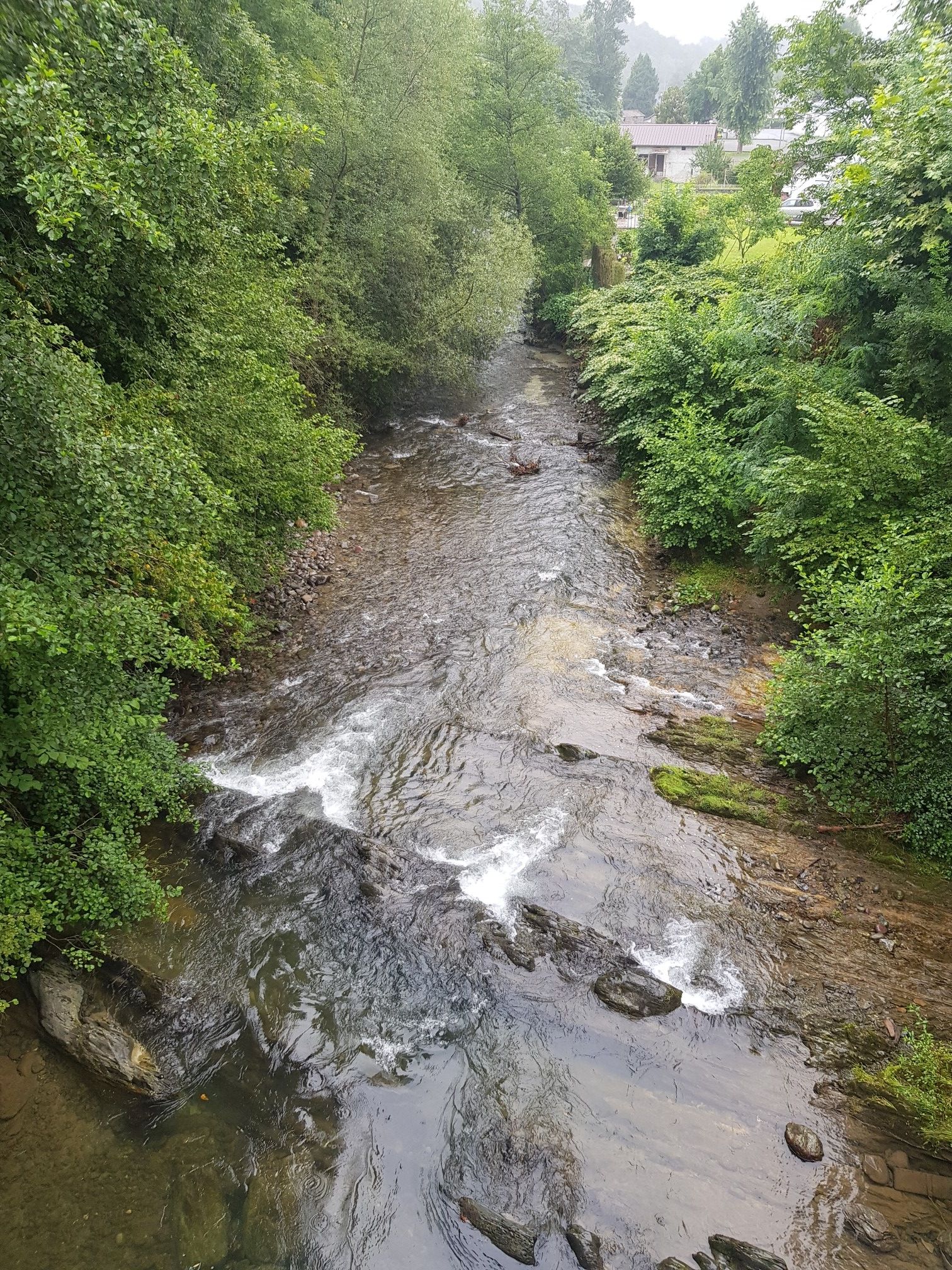 Le Vert