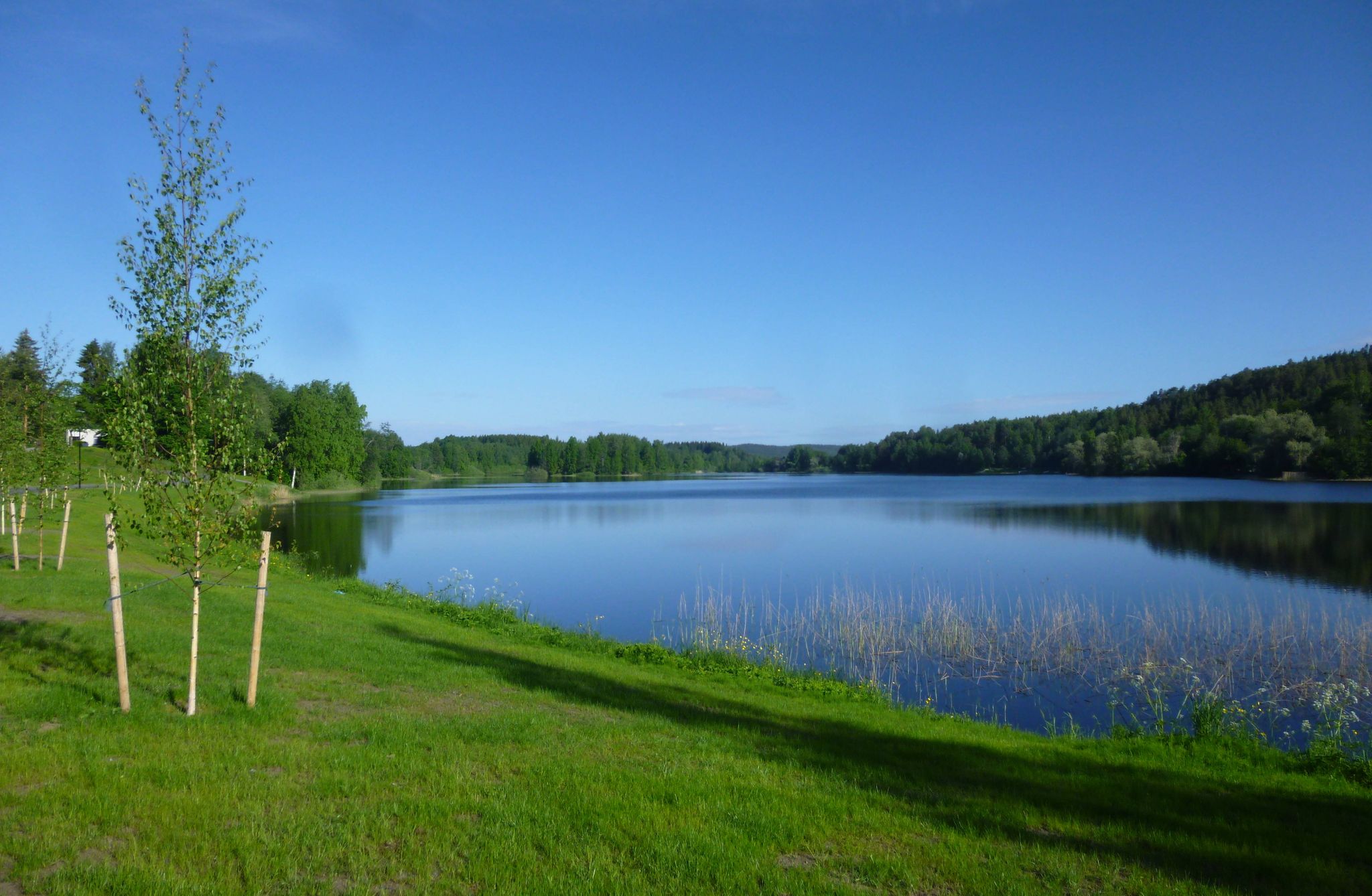 Savilahti