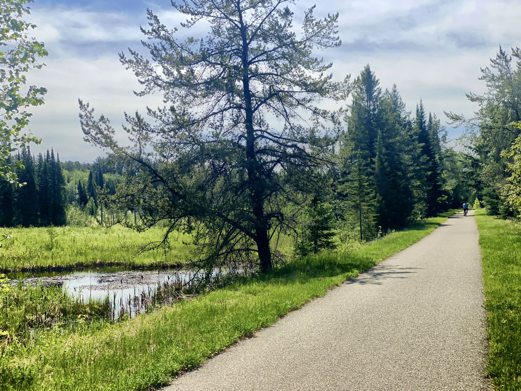Paved path next to a marshy pond and forest under a cloudy sky. - Paul Bunyan and Heartland Trail Loop