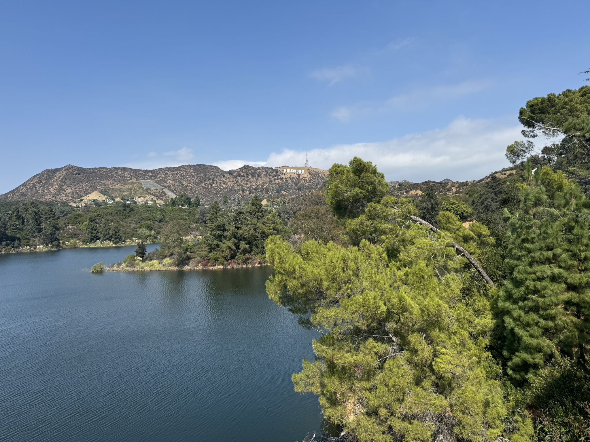 Blue lake surrounded by green trees and hills, with distant white letters. - Hollywood Reservoir loop from South Dam