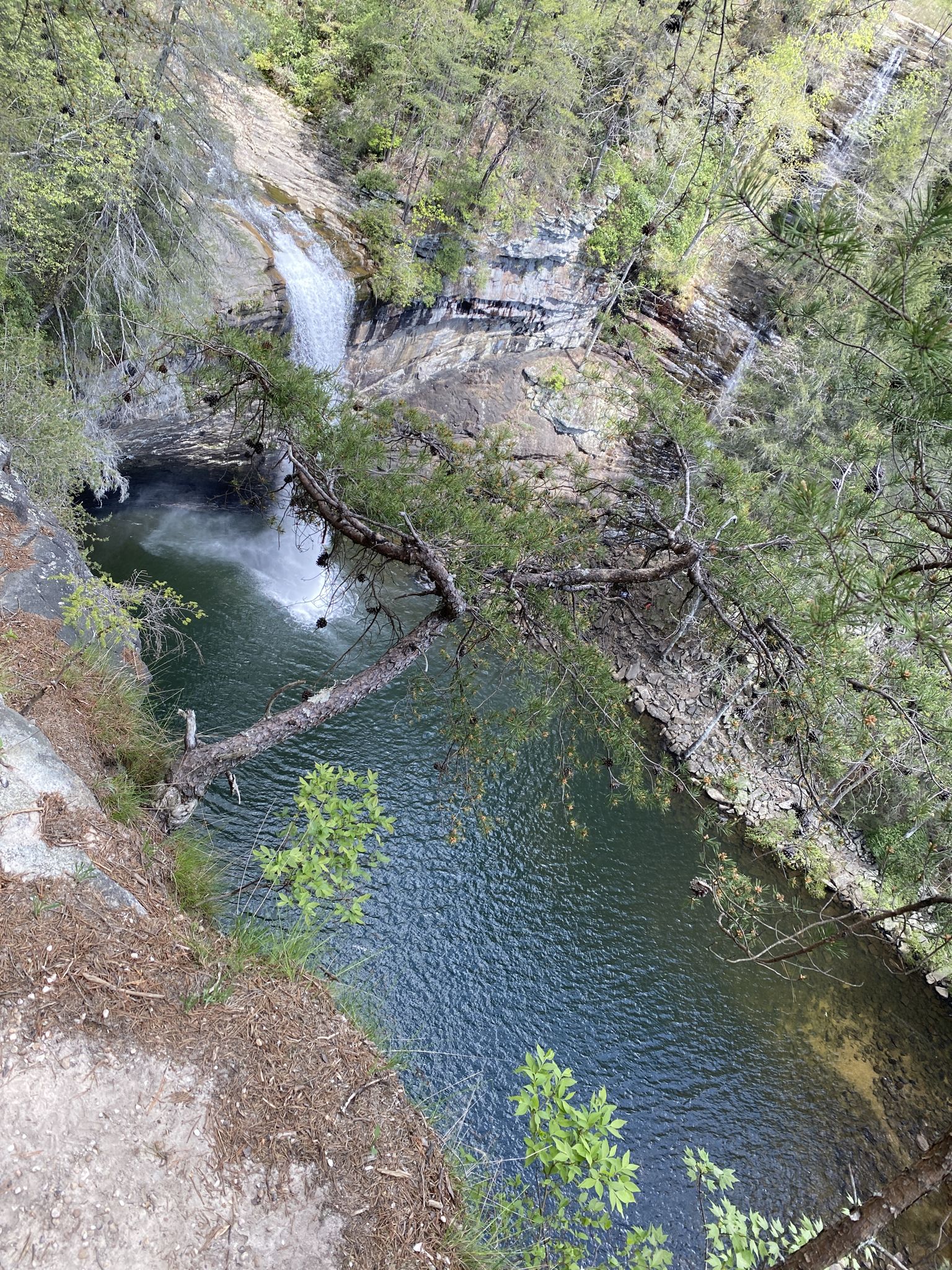An aerial view of a waterfall flowing into a dark, deep pool surrounded by trees. - Climbers Loop Trail