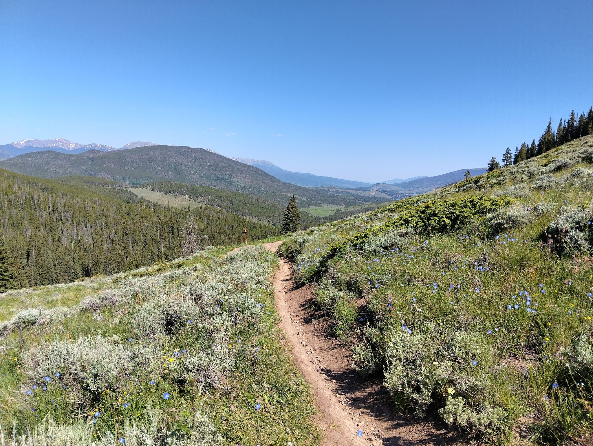 A dirt trail winds up a sunny, grassy mountain slope with forests. - Keystone Gulch to Soda Creek loop