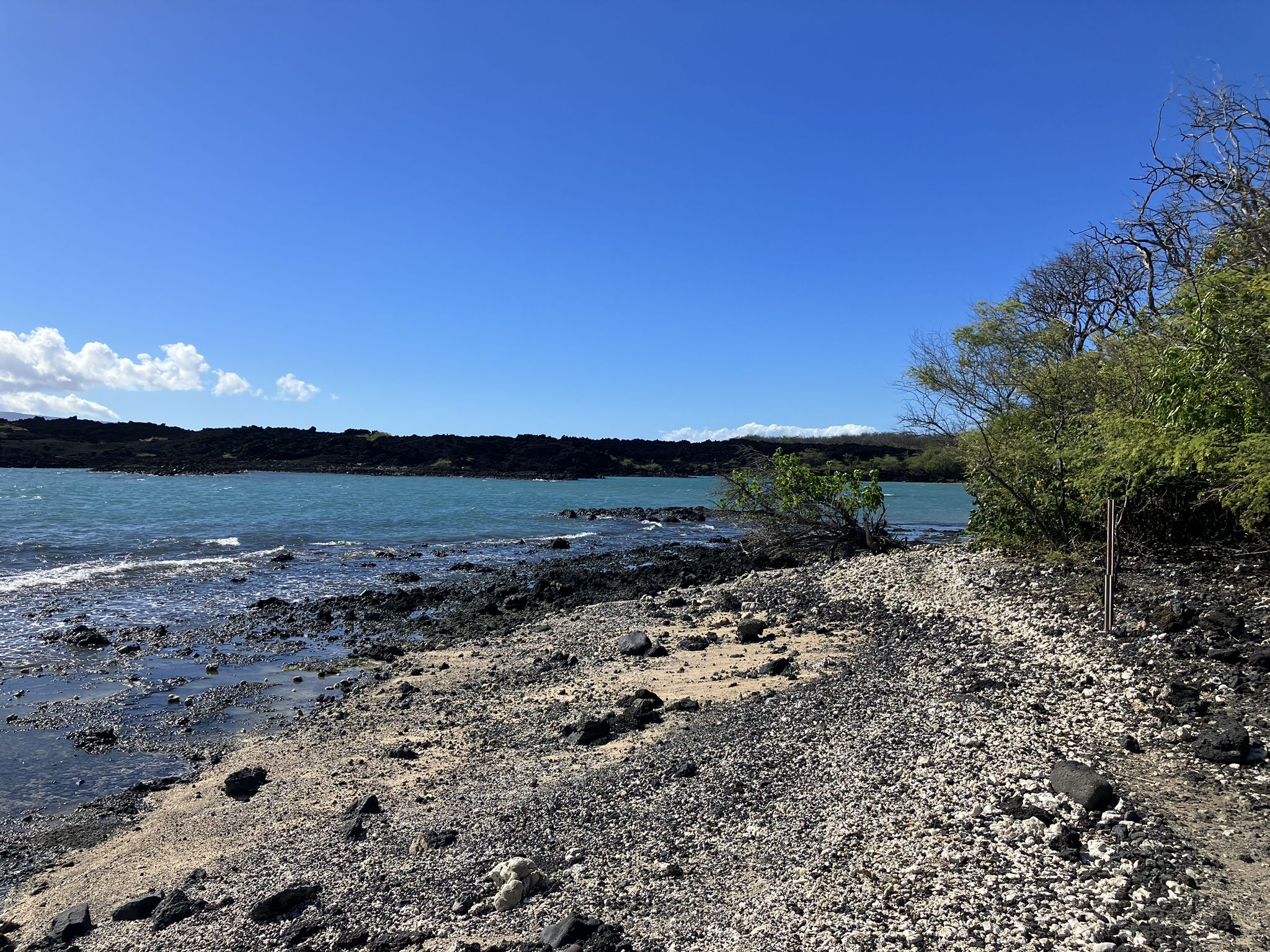Rocky shoreline with turquoise water, dark lava, and green trees under clear sky. - Hoapili Trail