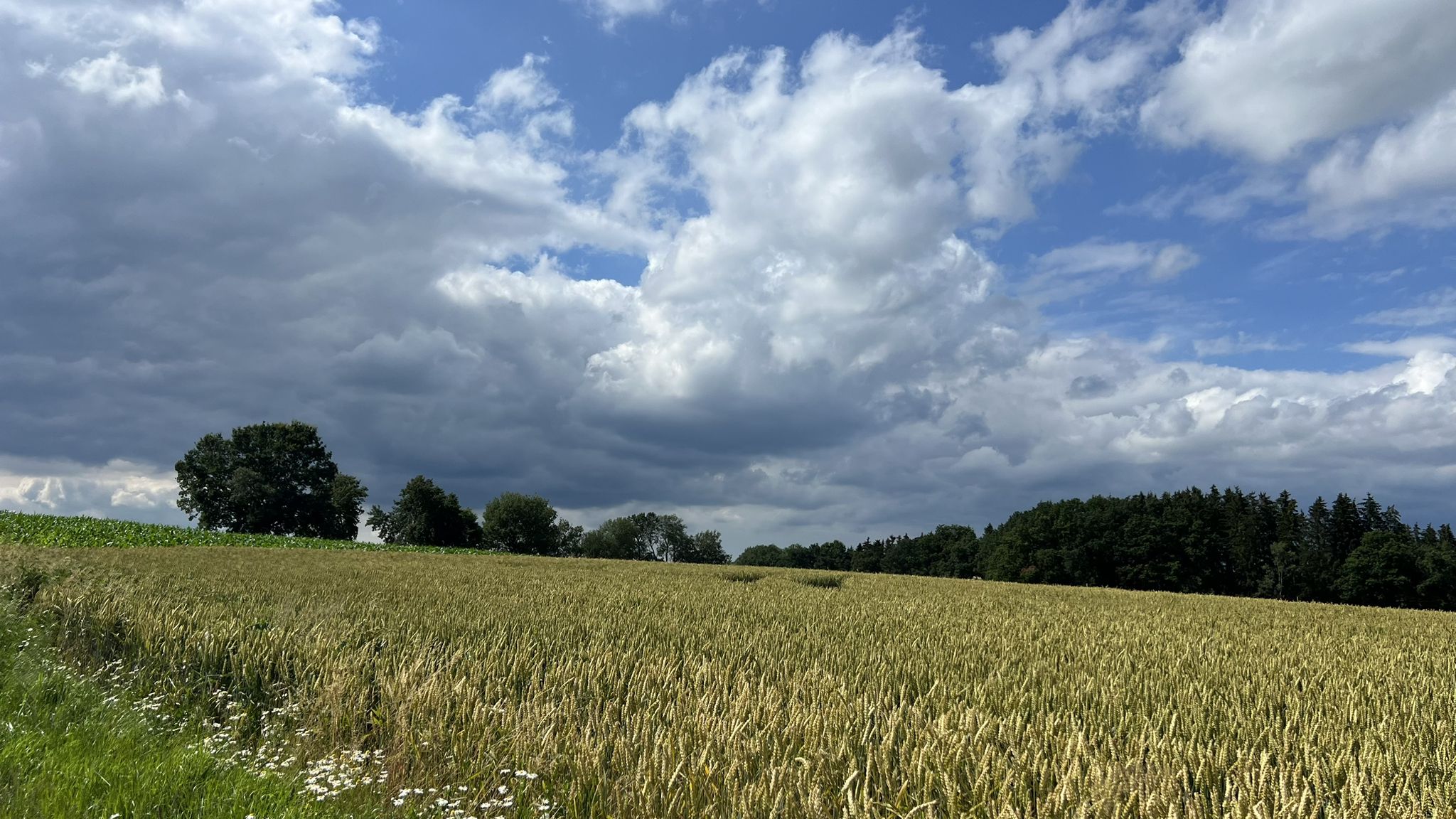 Wolkenzauber..⛅️👍
