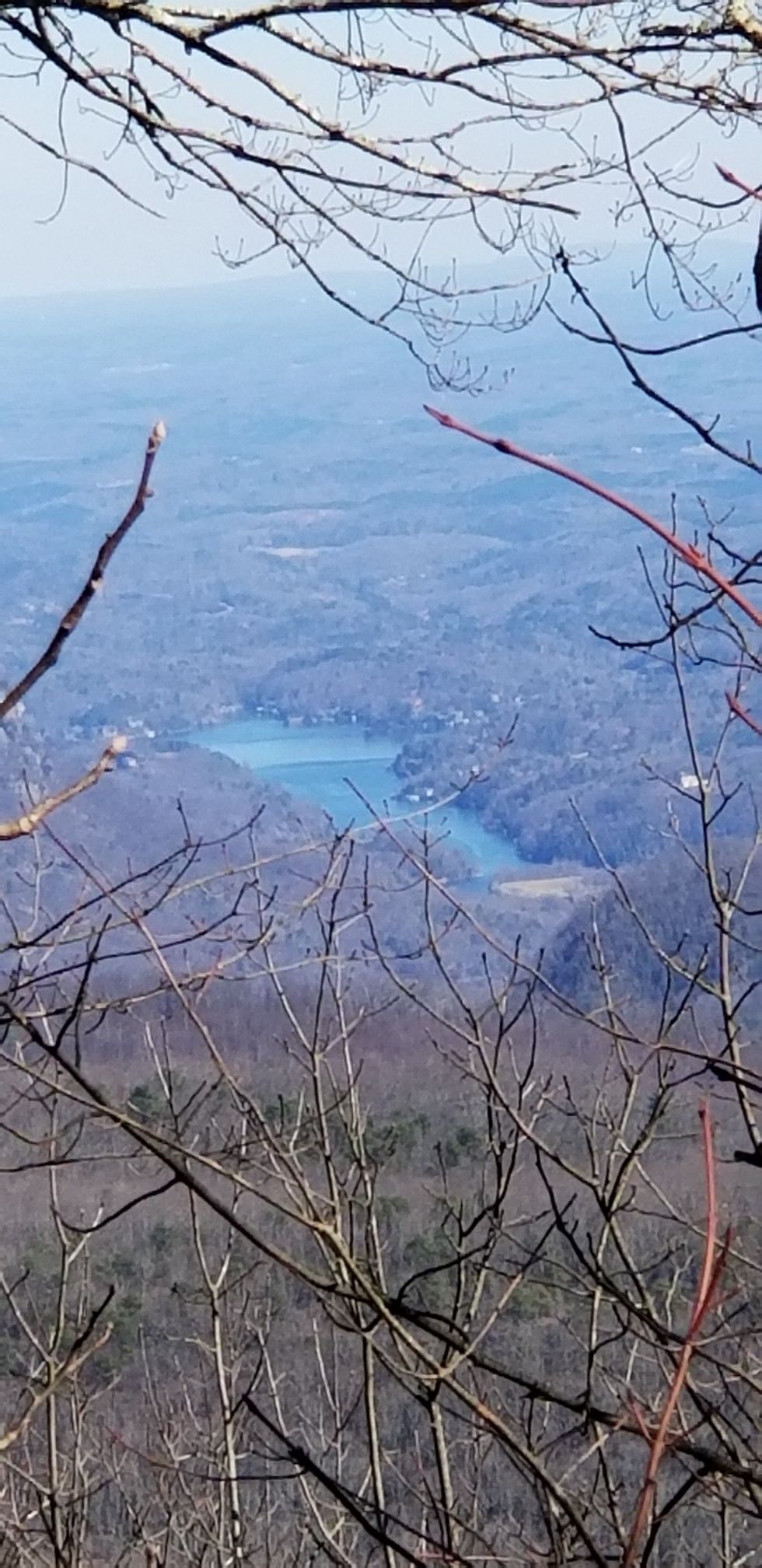Distant blue lake seen through a veil of bare tree branches. - Wildcat Rock Trail