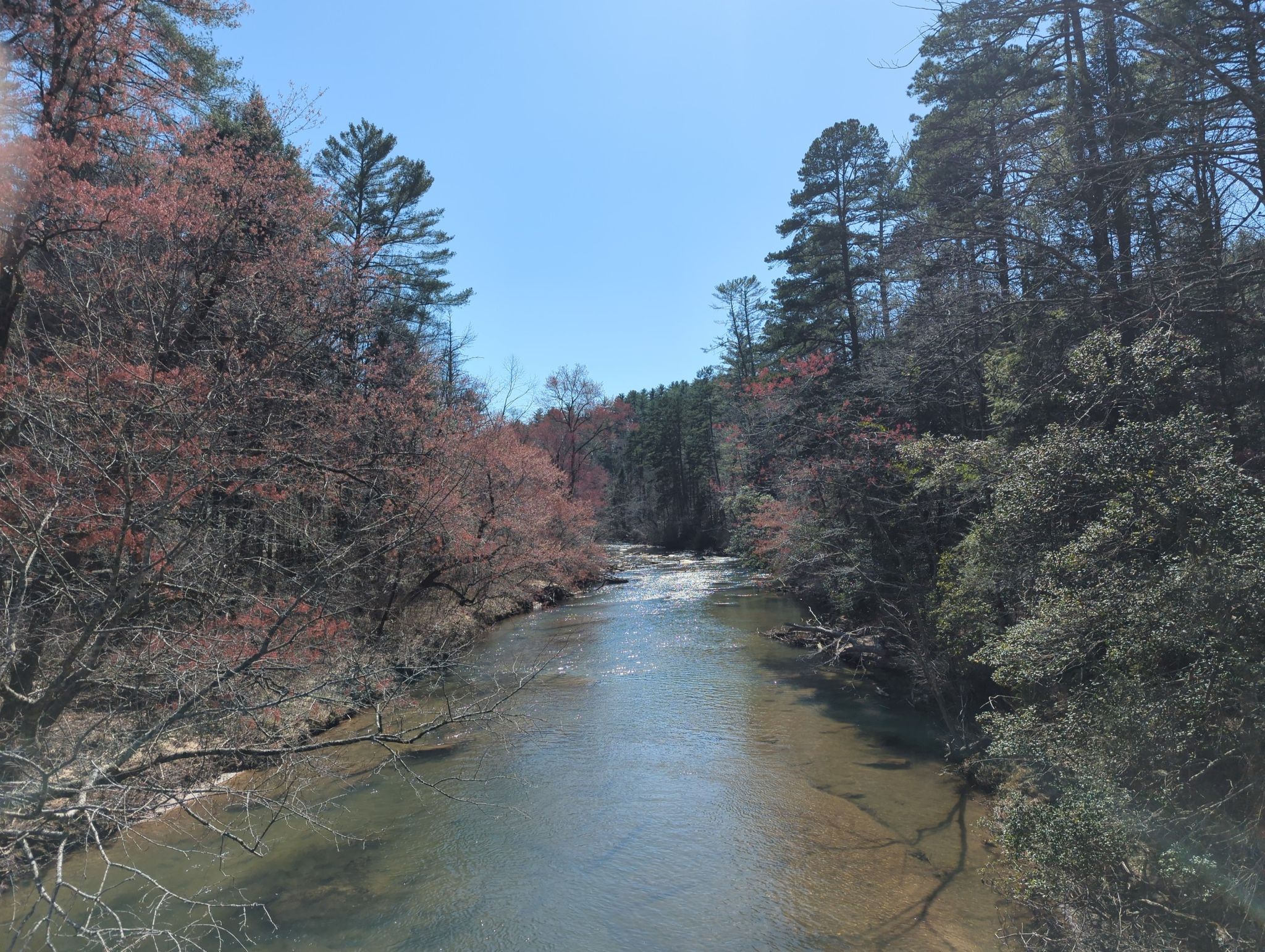 A river flows between forested banks with early spring foliage under a clear sky. - Shortline Trail & Brandon Mill Road loop