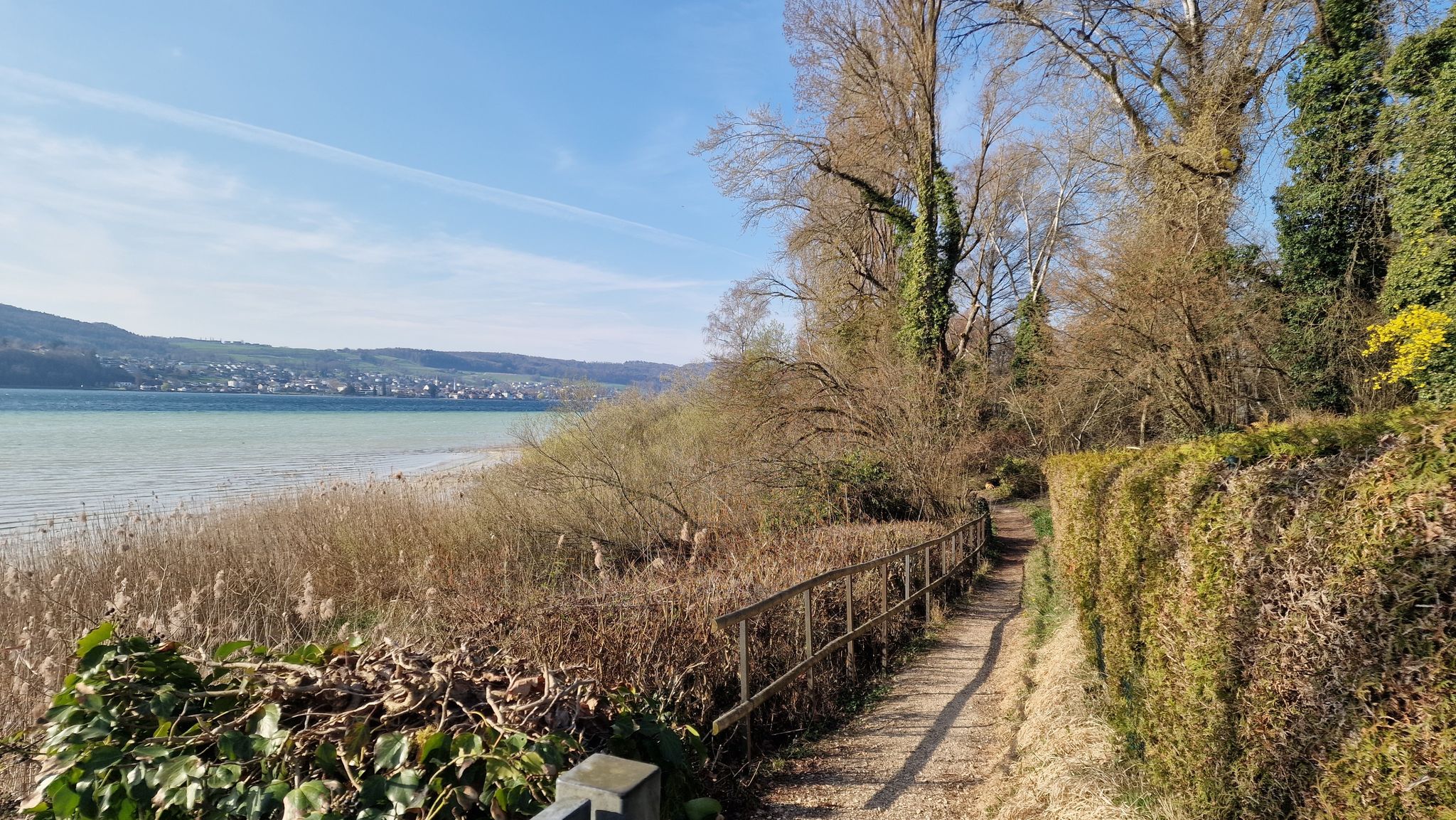 Seeuferweg